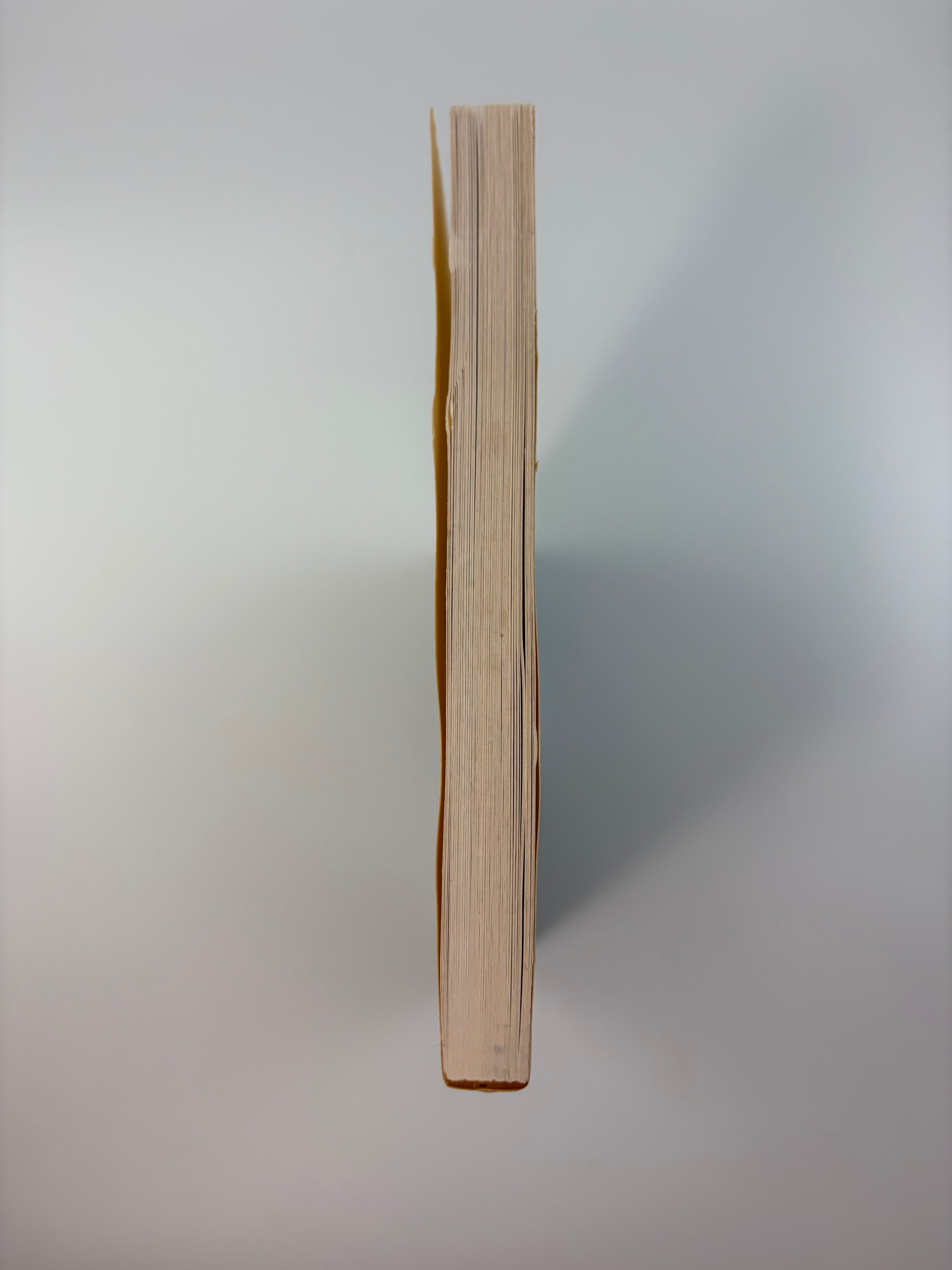 The Life Aquatic with Steve Zissou written by Wes Anderson and Noah Baumbach