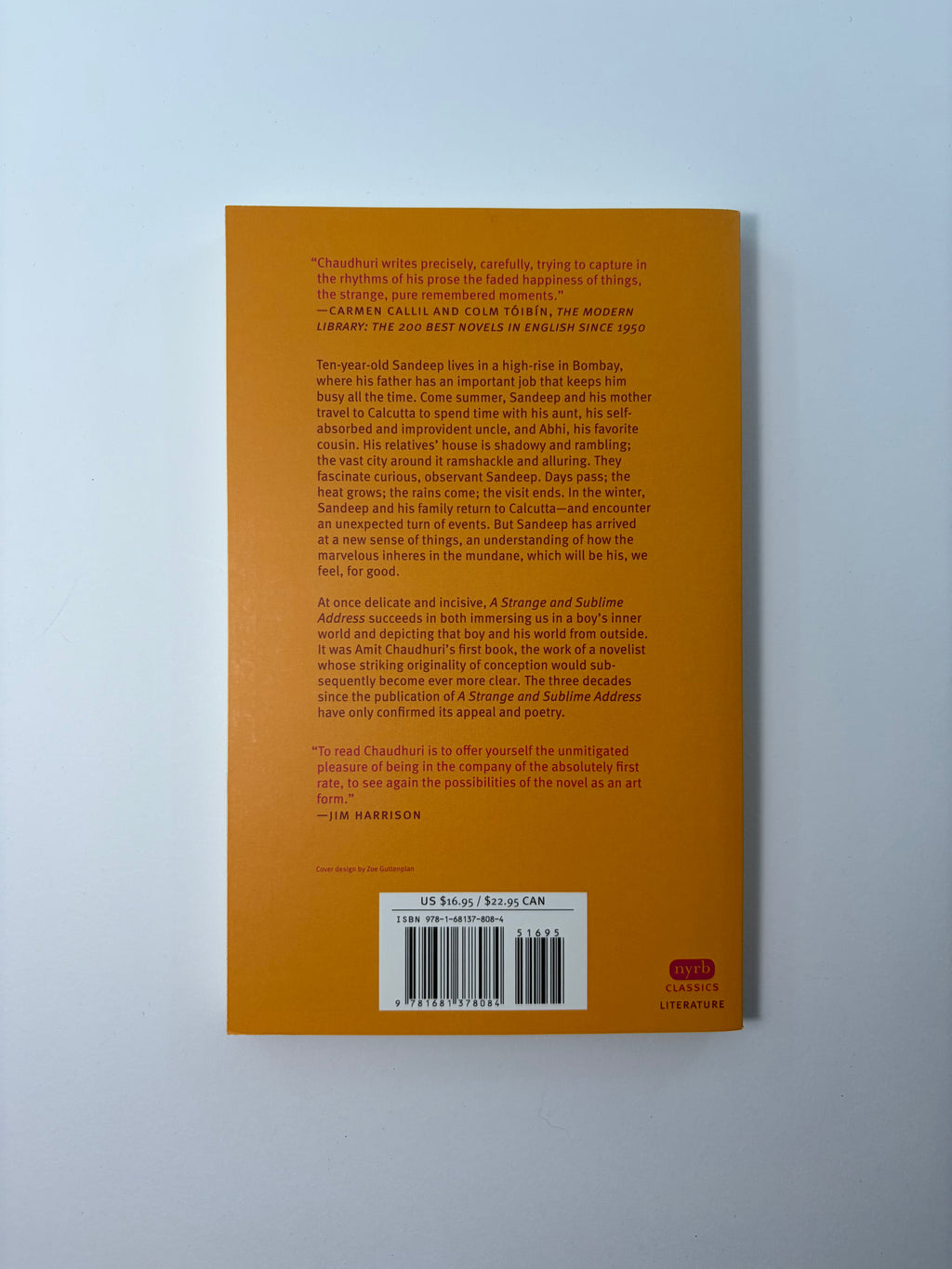 A Strange and Sublime Address by Amit Chaudhuri - NYRB Classics