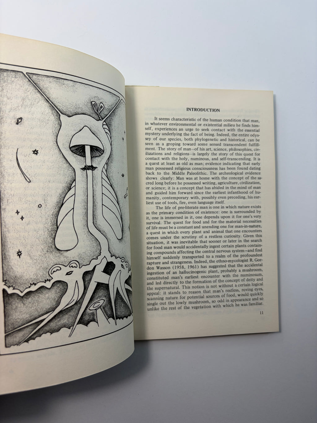 Psilocybin - Magic Mushroom Grower's Guide by O.T. Oss and O.N. Oeric