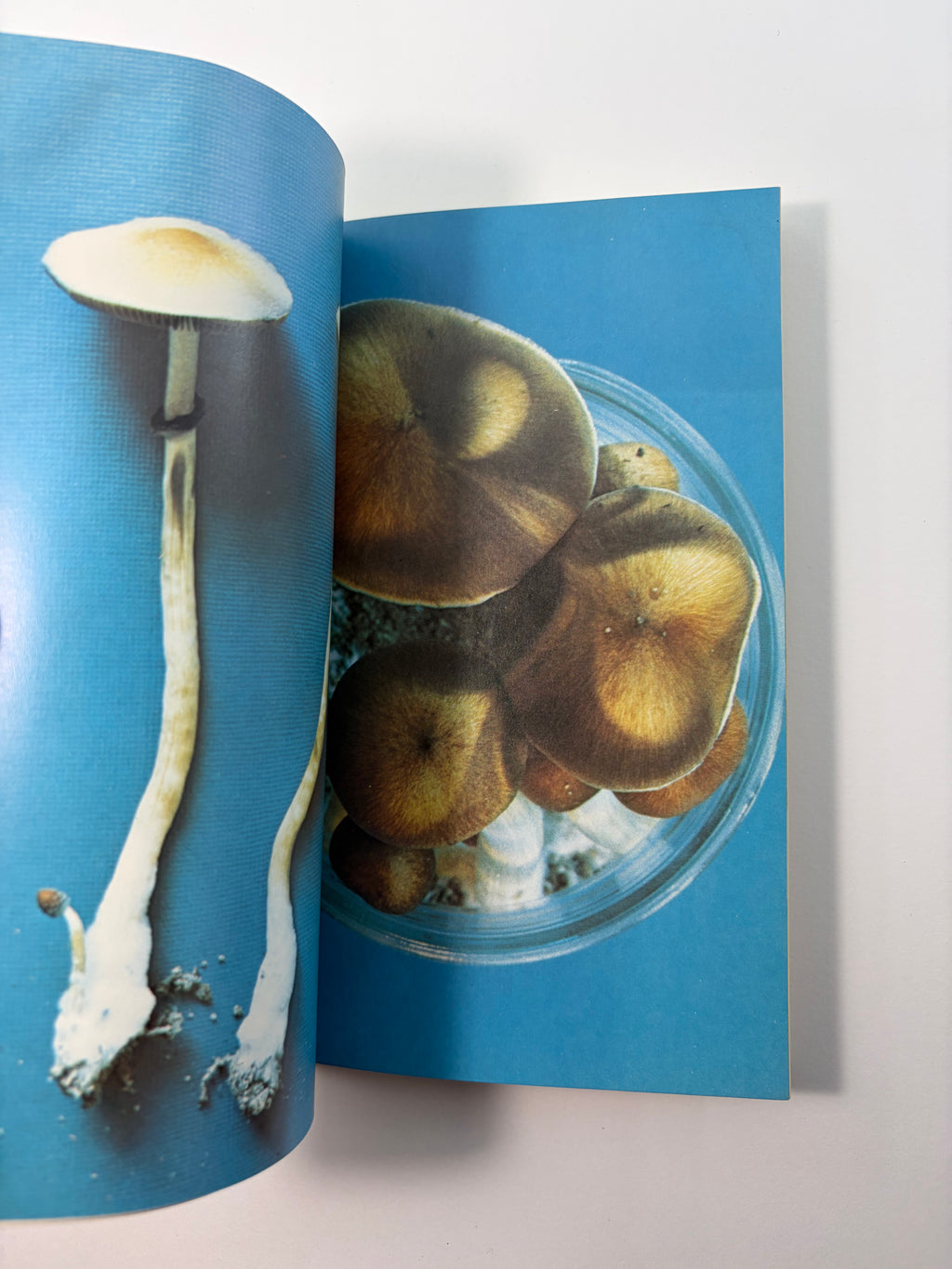 Psilocybin - Magic Mushroom Grower's Guide by O.T. Oss and O.N. Oeric