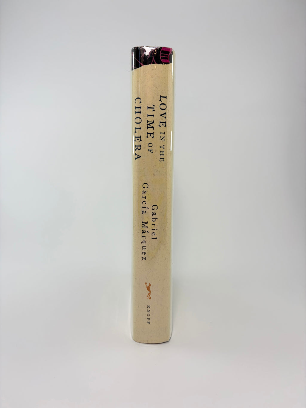 Love in the Time of Cholera by Gabriel García Márquez