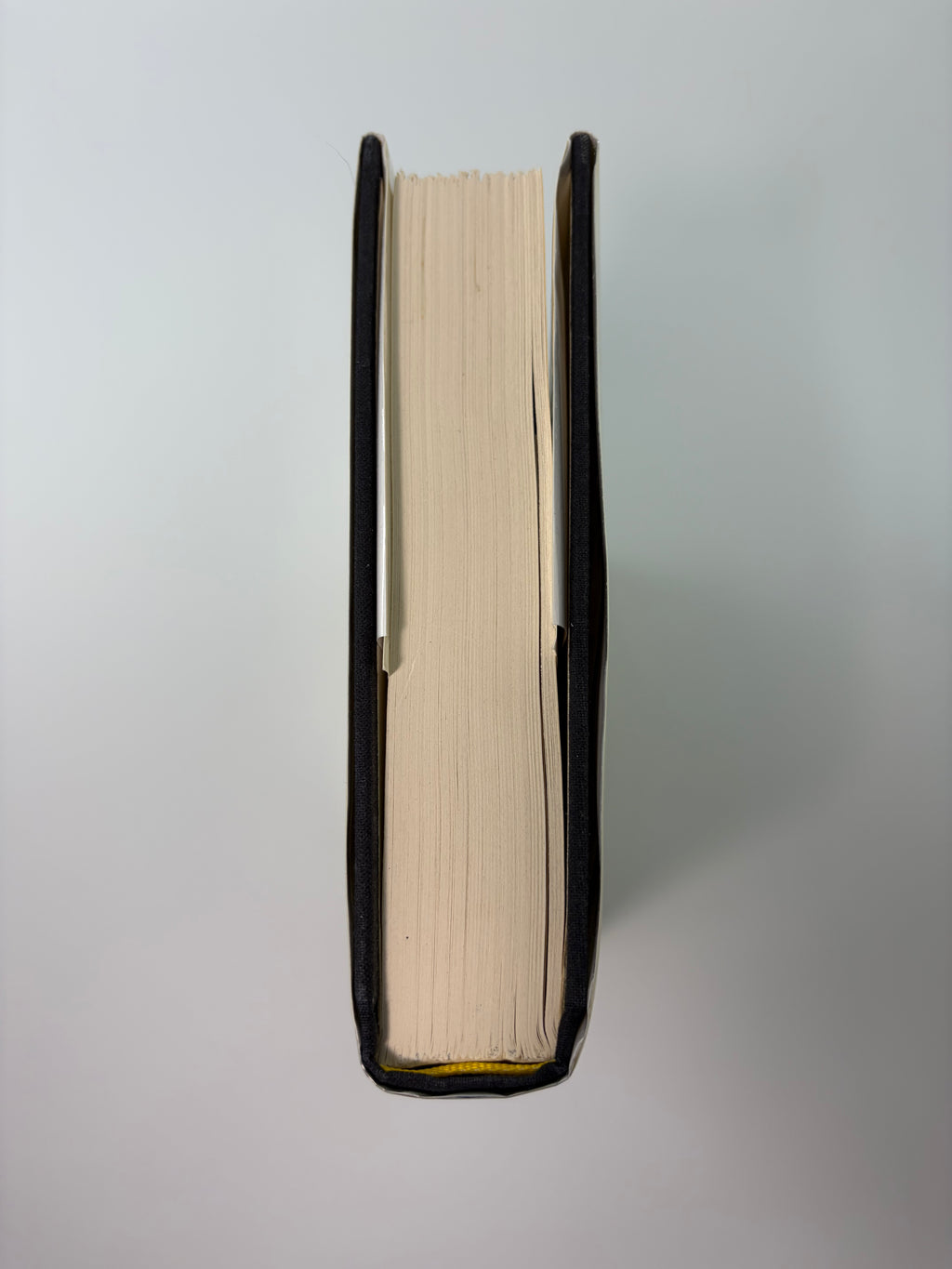 Love in the Time of Cholera by Gabriel García Márquez