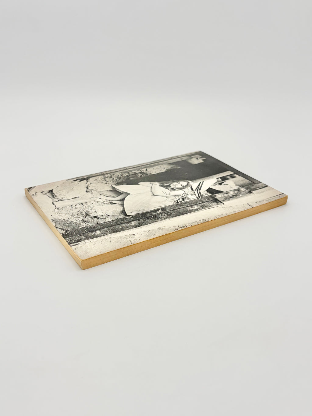 The Pill Versus the Springhill Mine Disaster by Richard Brautigan