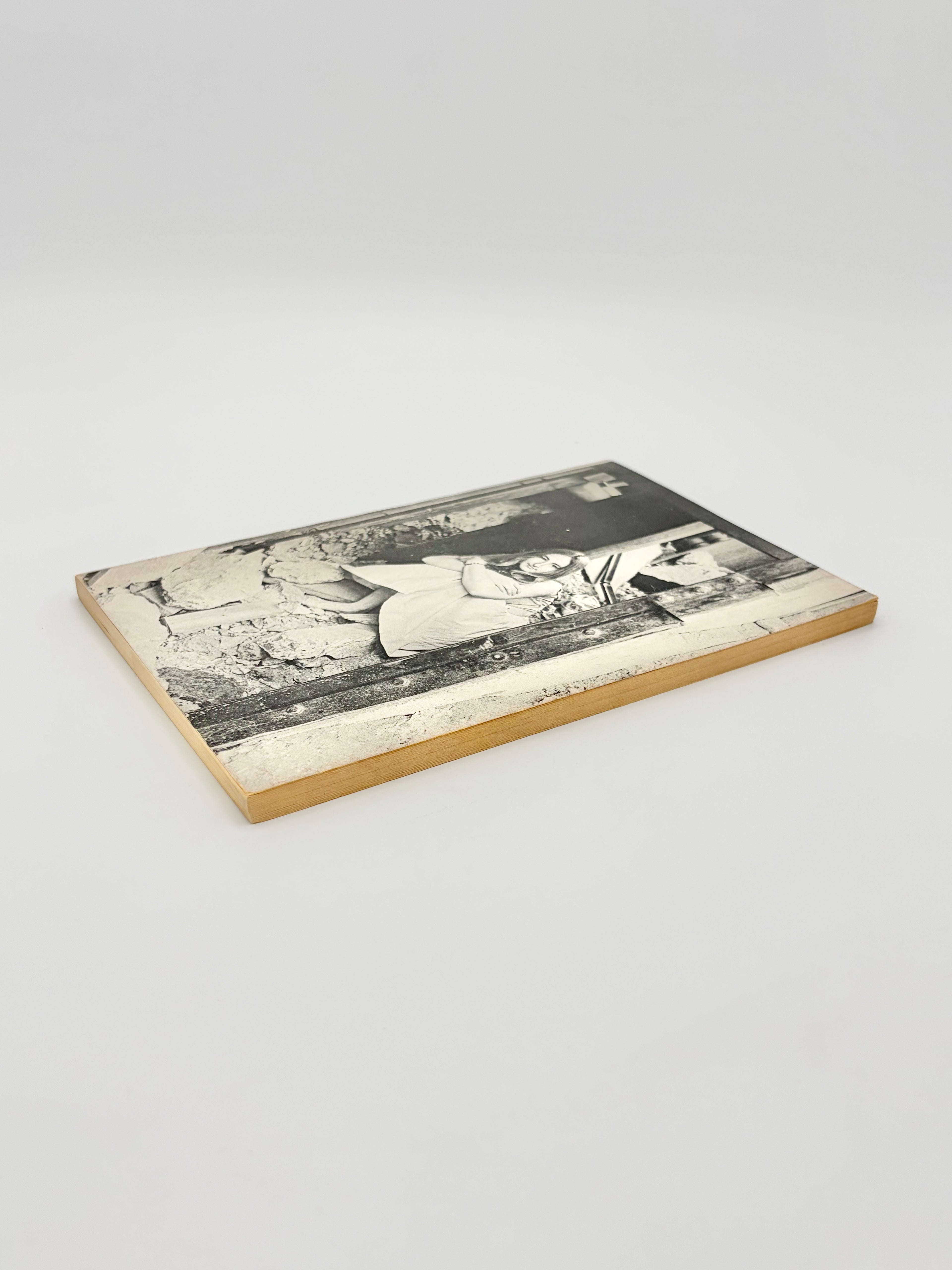 The Pill Versus the Springhill Mine Disaster by Richard Brautigan