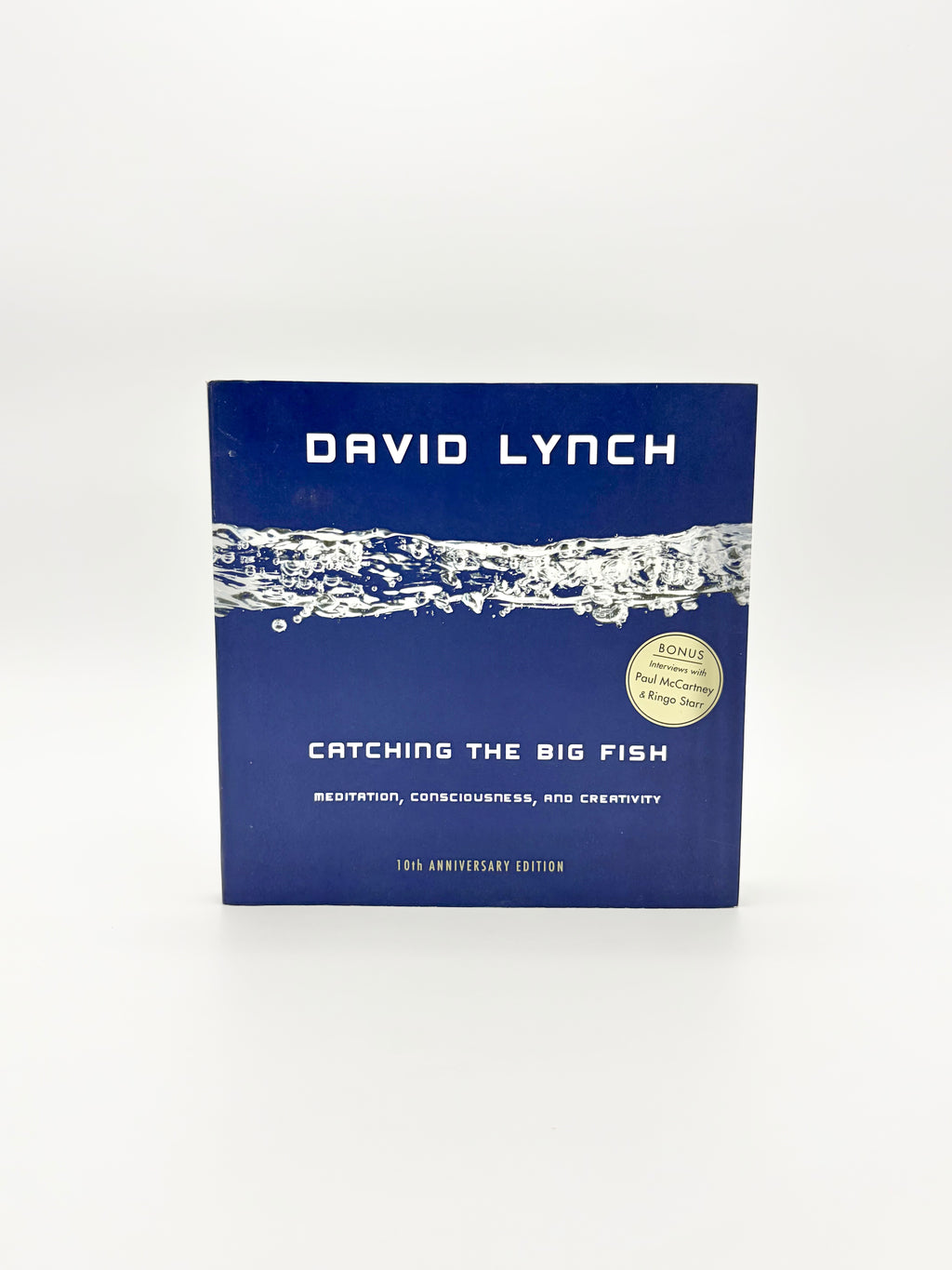 Catching the Big Fish - Meditation, Consciousness, and Creativity by David Lynch