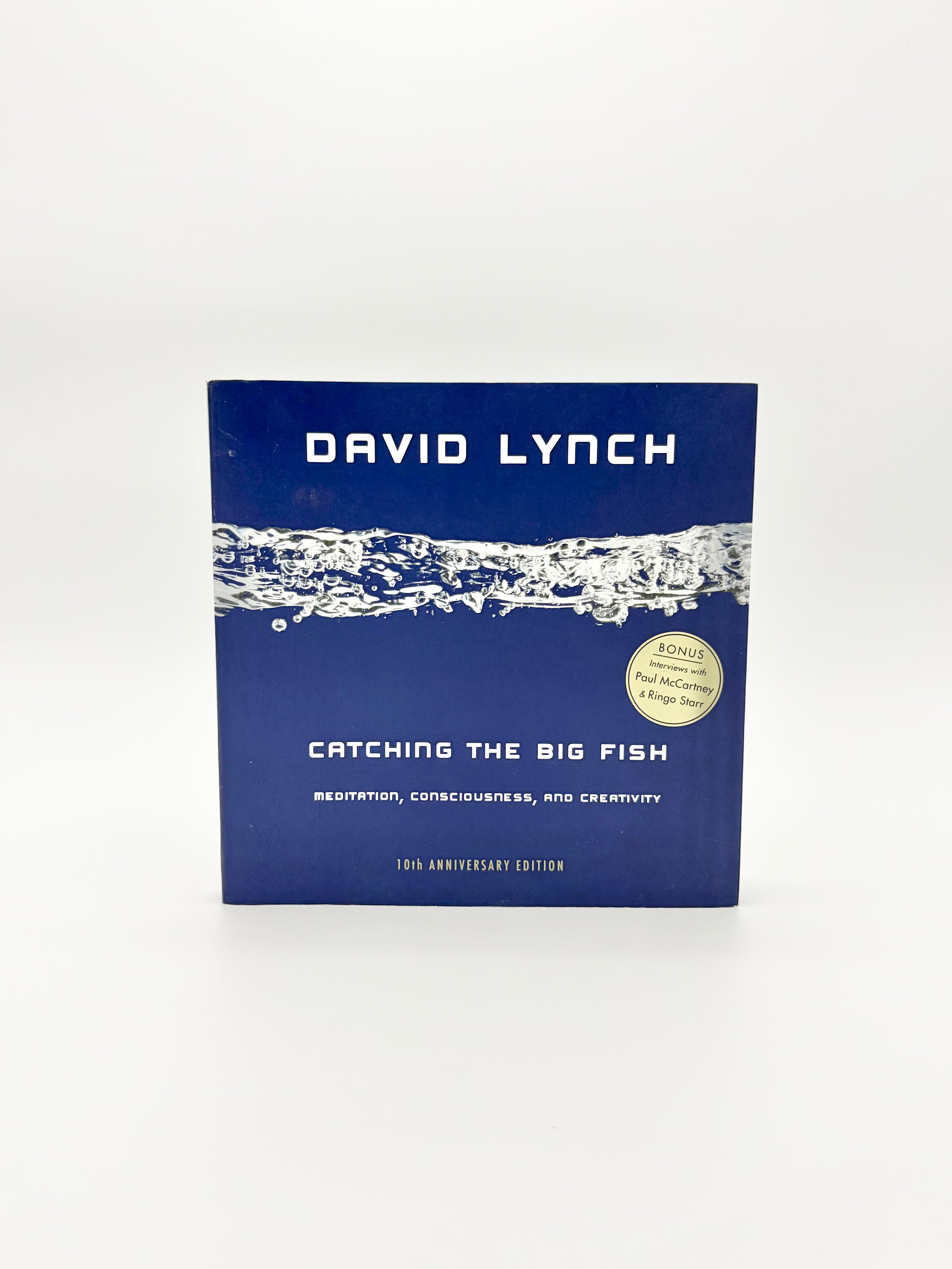 Catching the Big Fish - Meditation, Consciousness, and Creativity by David Lynch