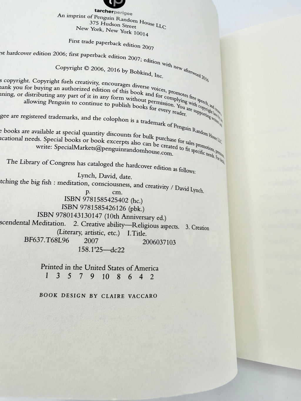 Catching the Big Fish - Meditation, Consciousness, and Creativity by David Lynch