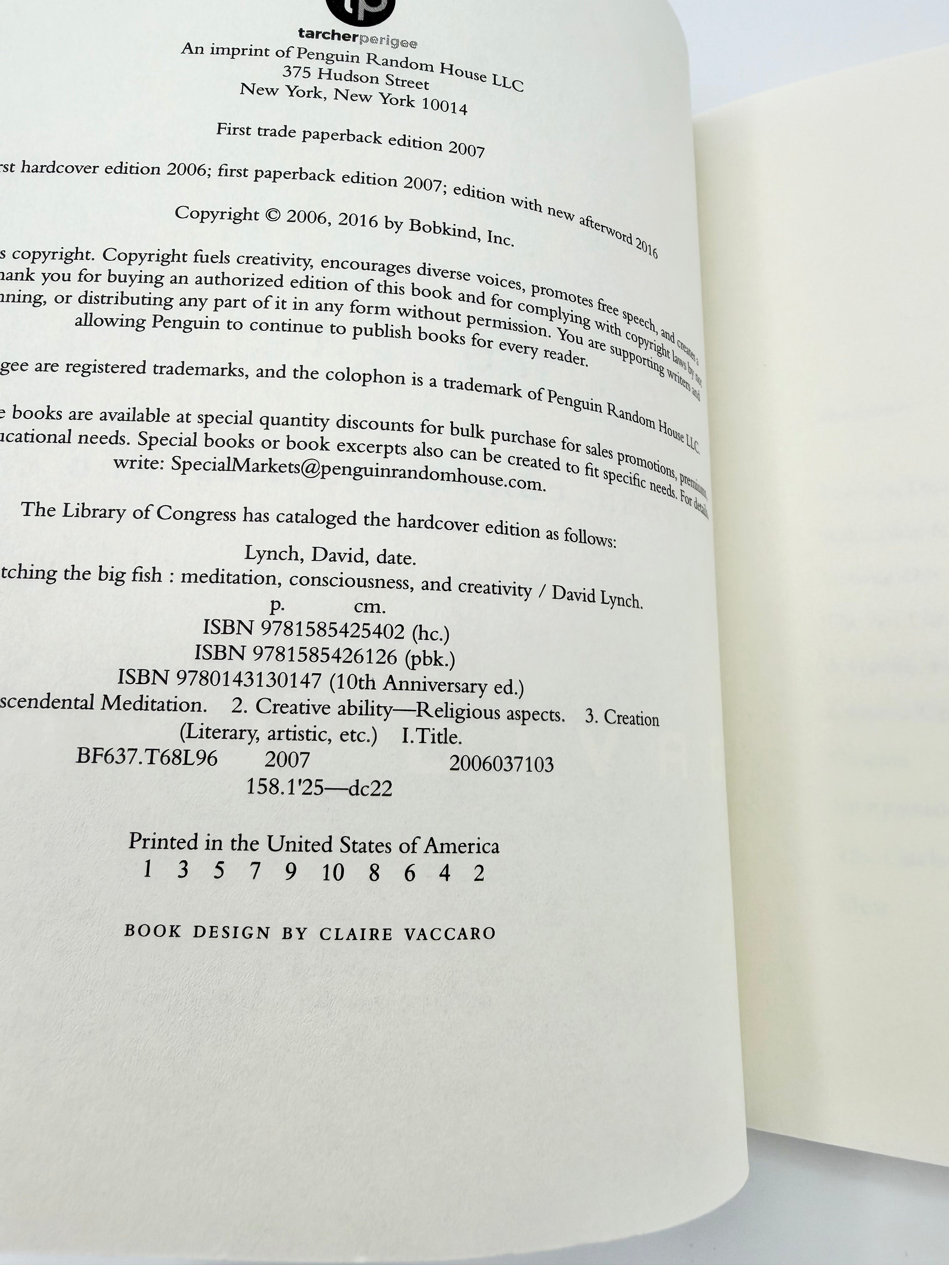 Catching the Big Fish - Meditation, Consciousness, and Creativity by David Lynch