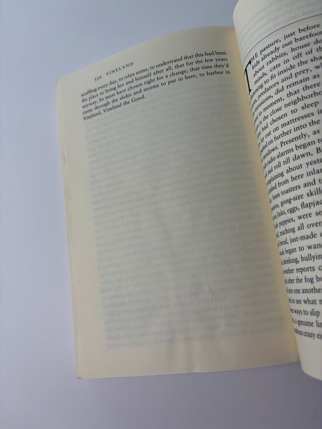 Vineland by Thomas Pynchon