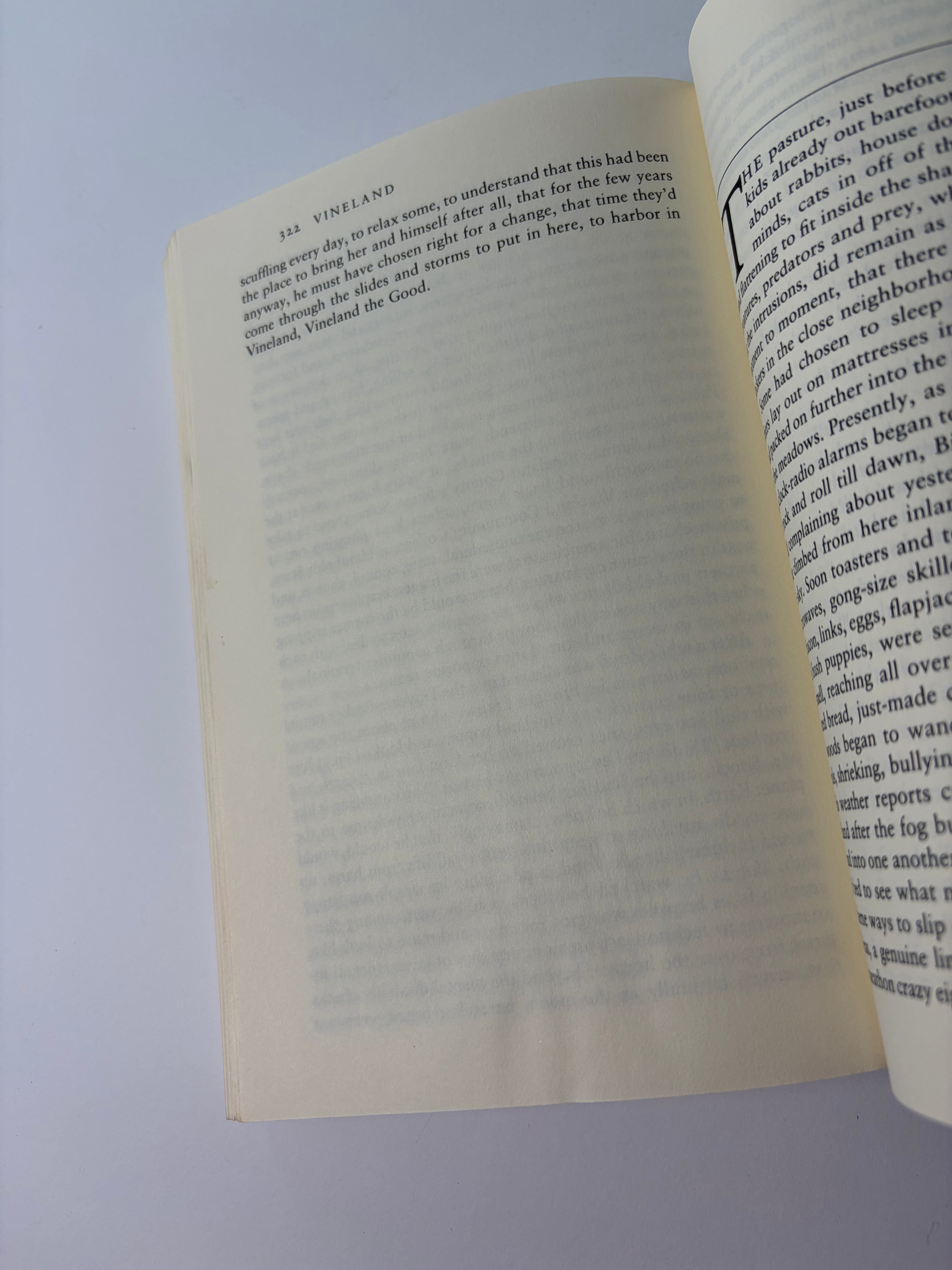 Vineland by Thomas Pynchon