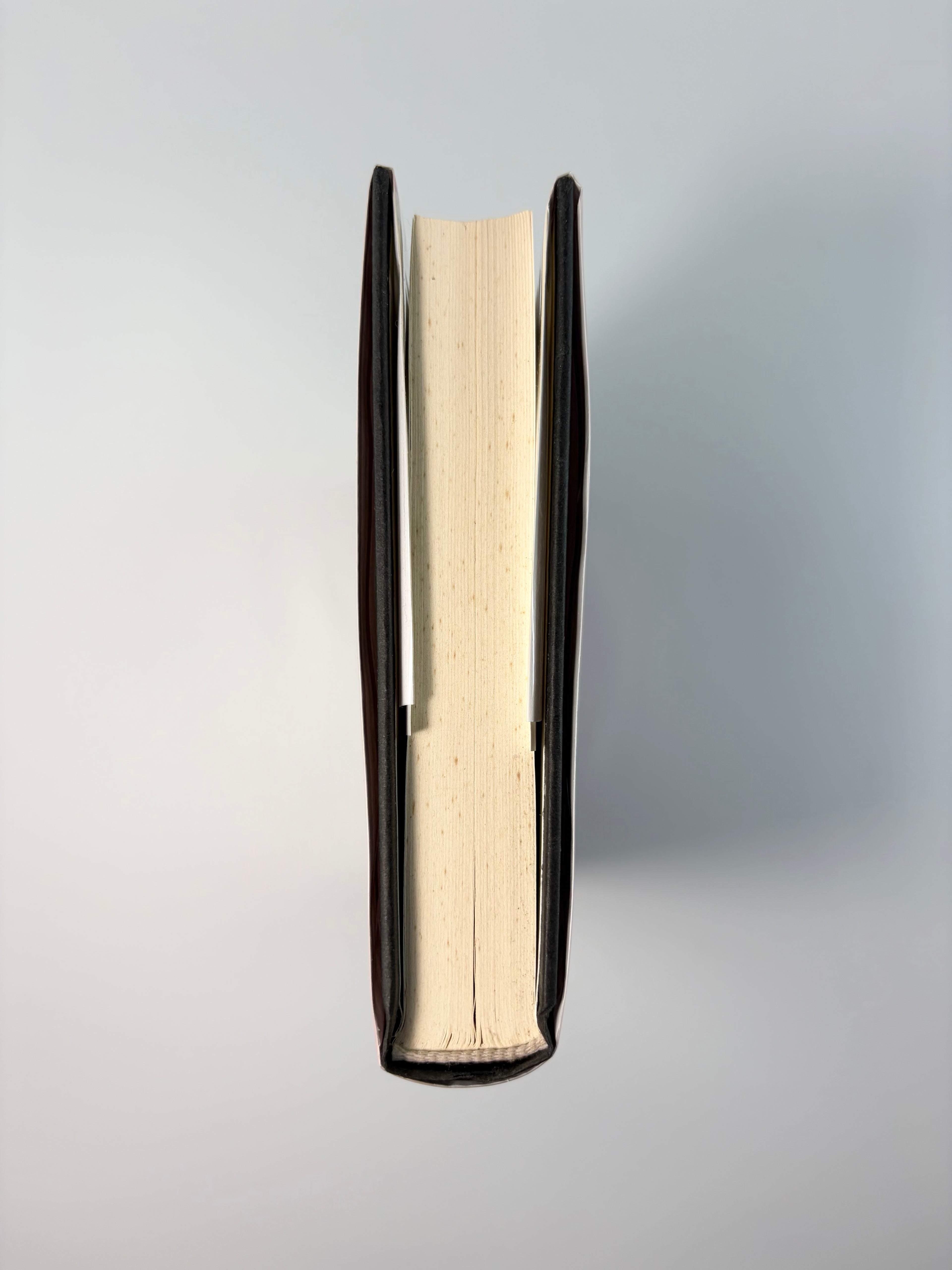 Severance by Ling Ma