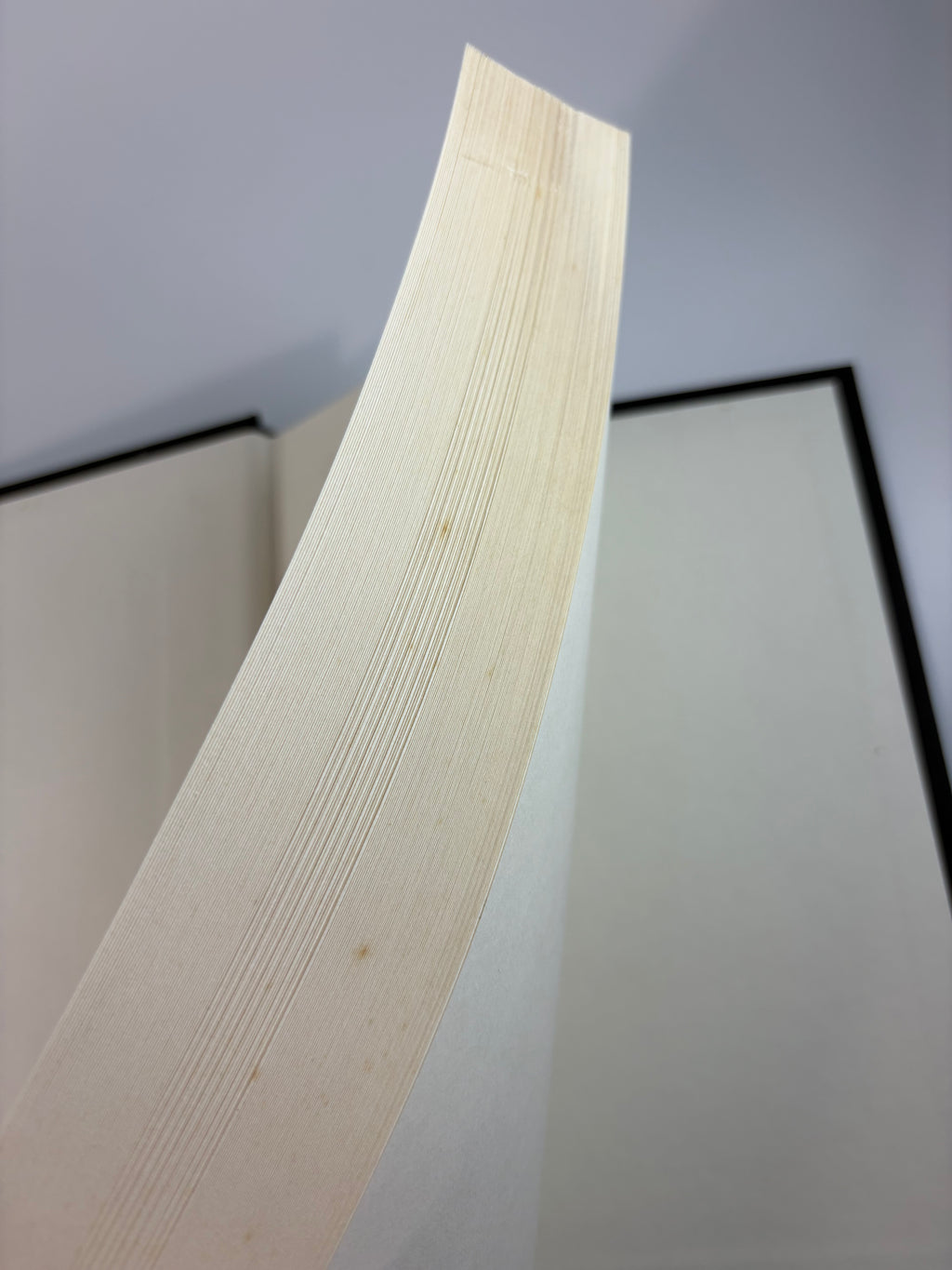 Severance by Ling Ma