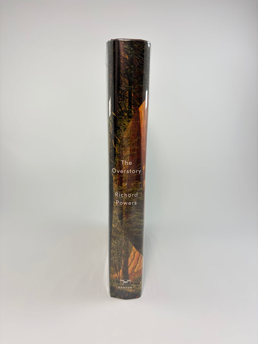 The Overstory by Richard Powers