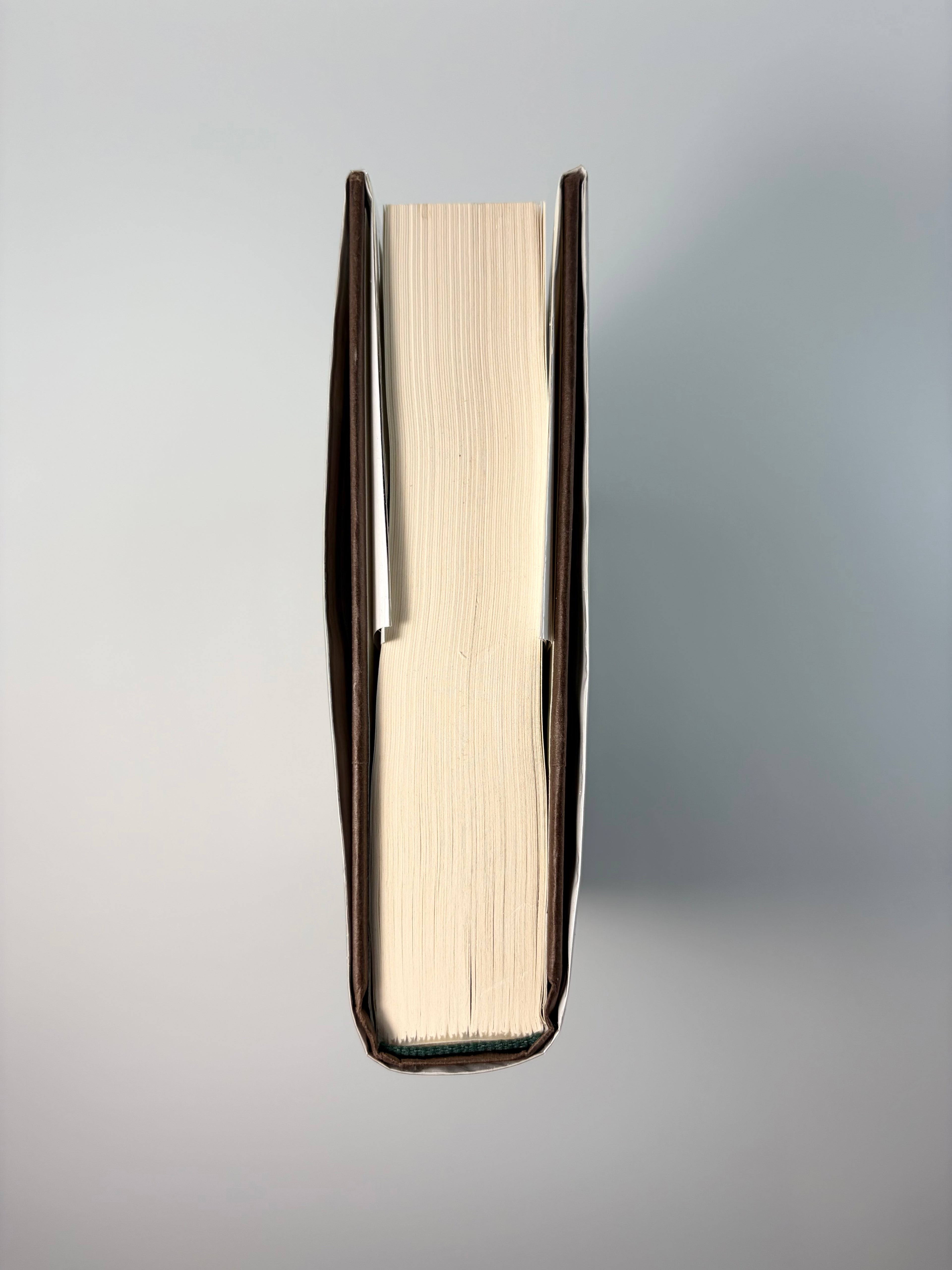 The Overstory by Richard Powers