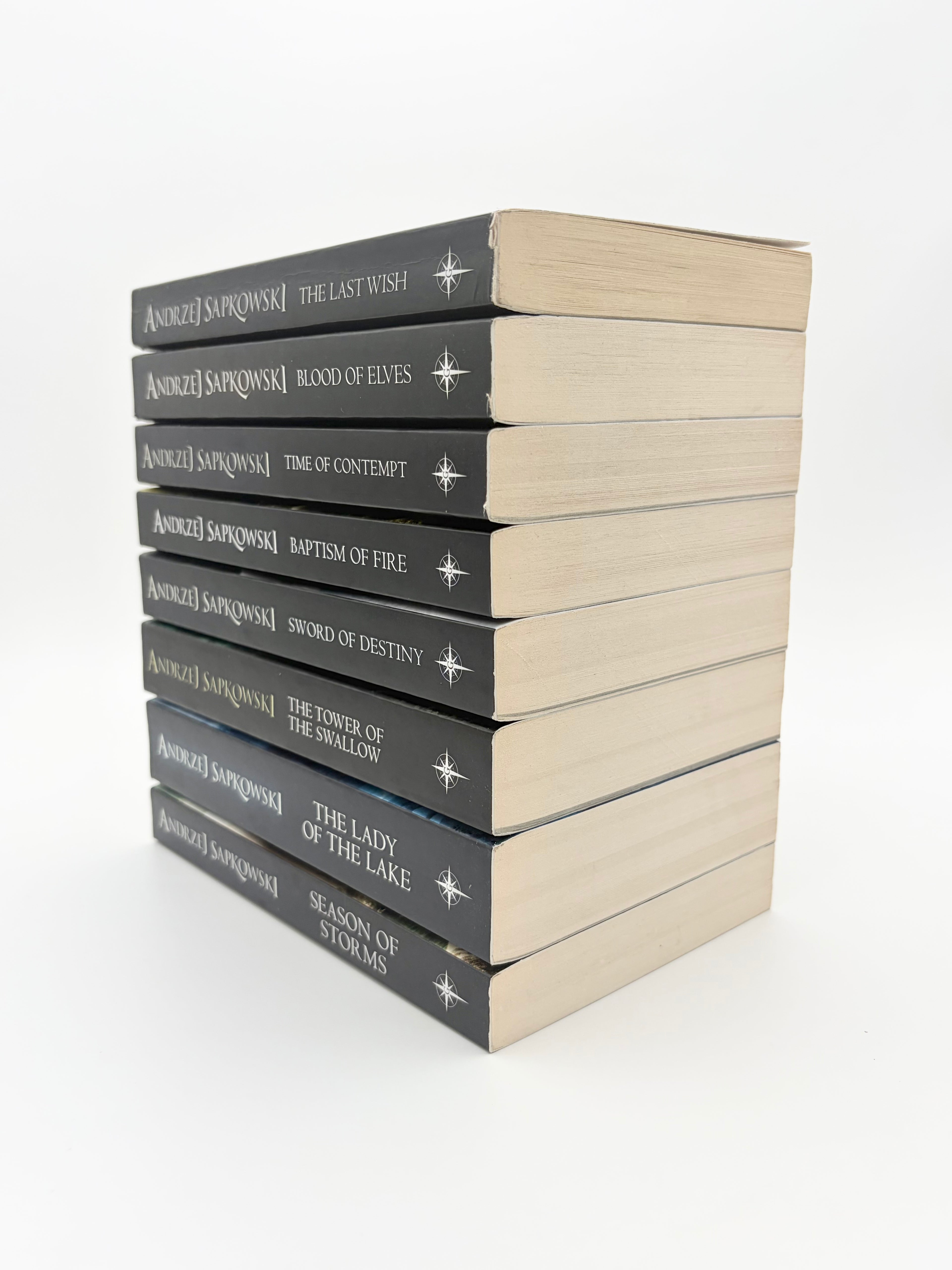 The Witcher Saga by Andrej Sapkowski