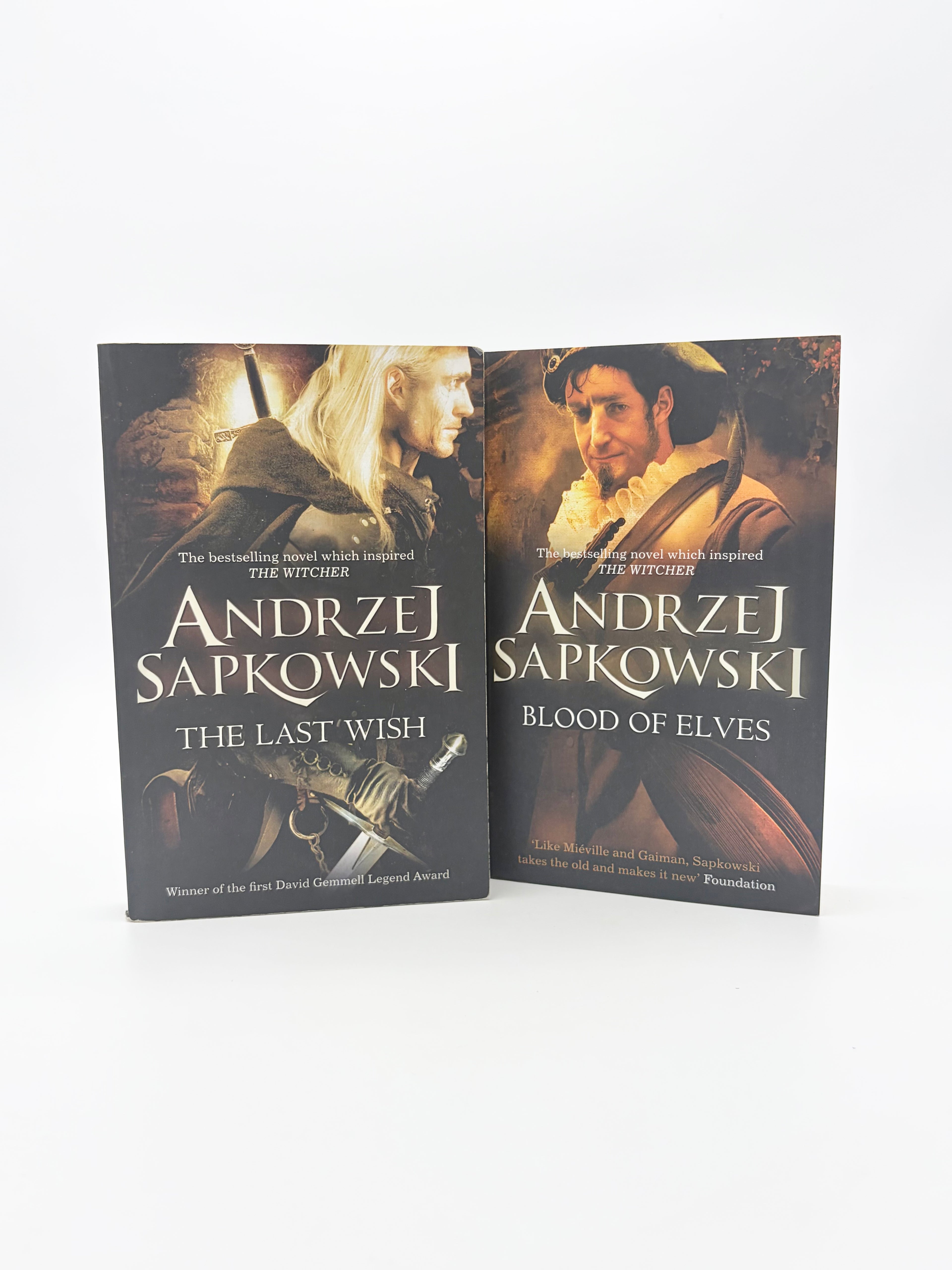 The Witcher Saga by Andrej Sapkowski