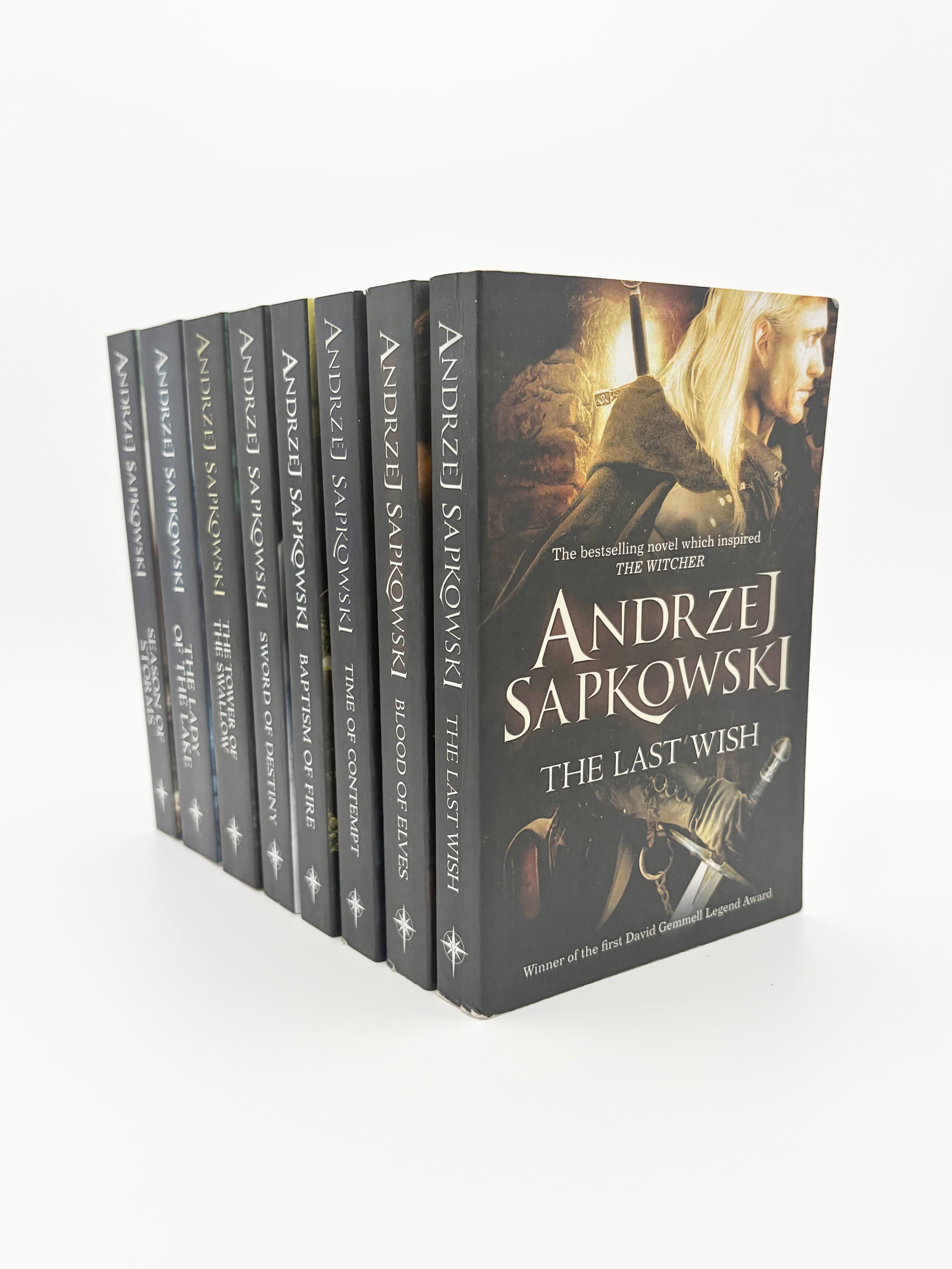 The Witcher Saga by Andrej Sapkowski