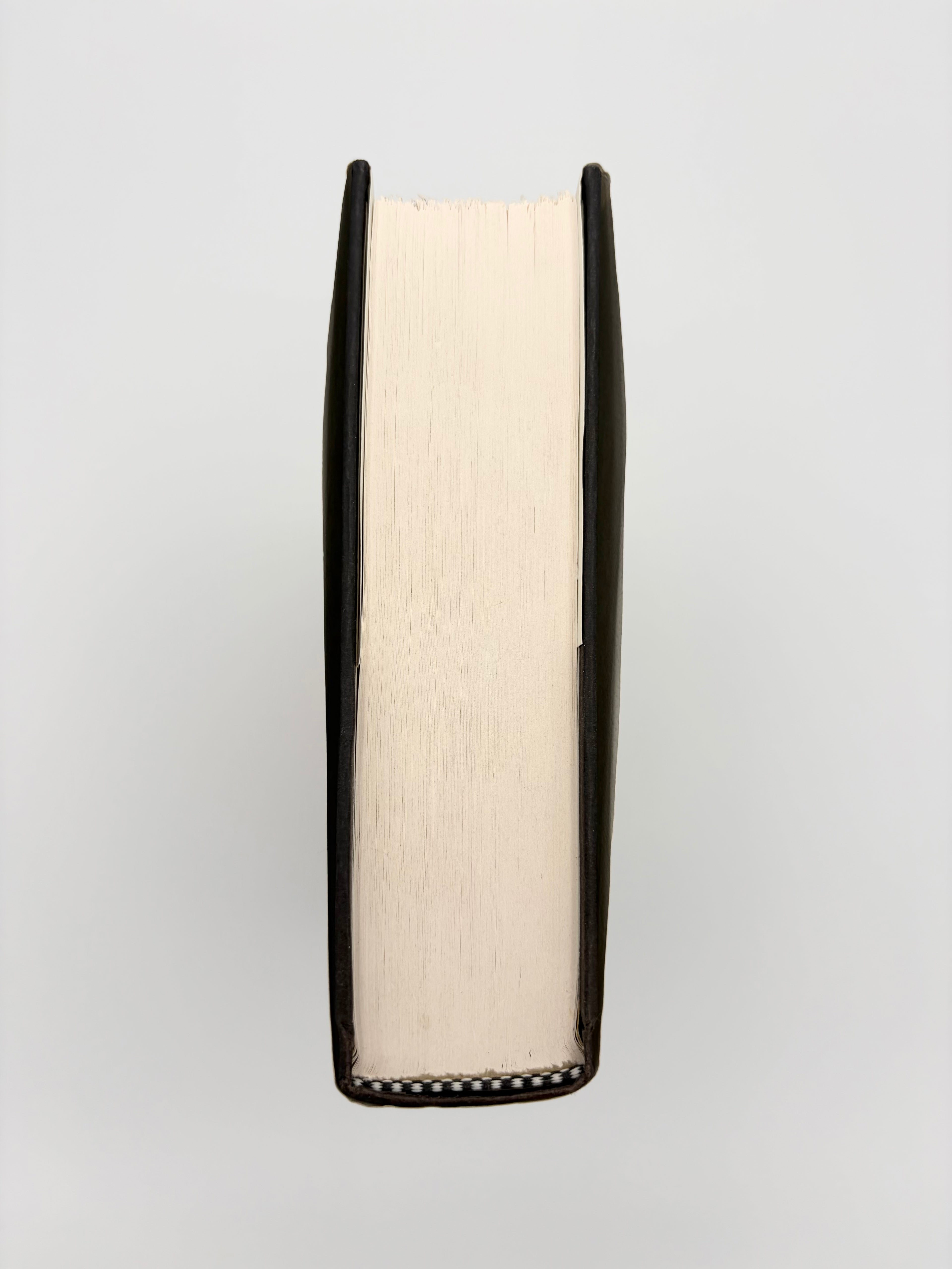 The Pale King by David Foster Wallace