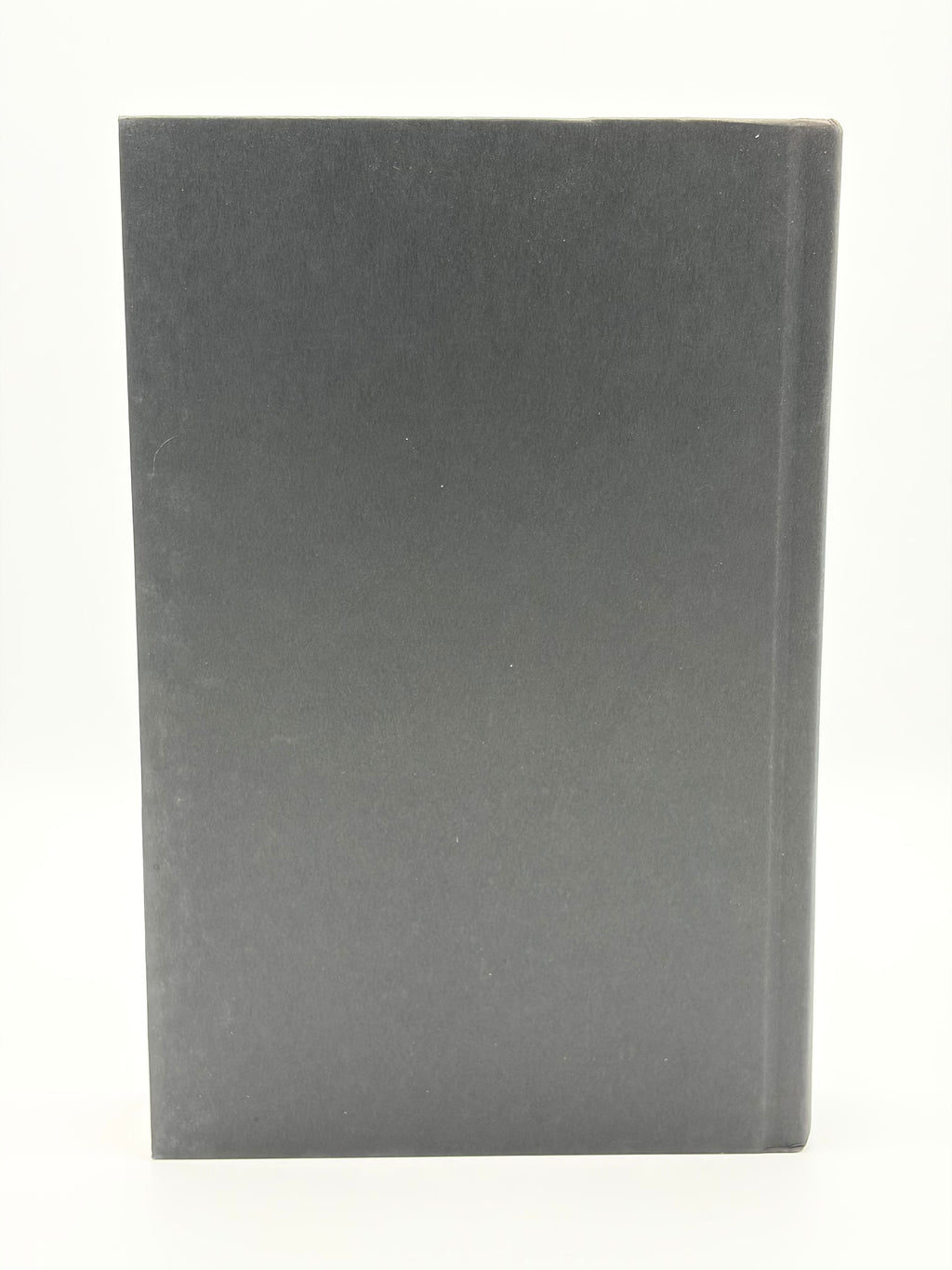 The Pale King by David Foster Wallace