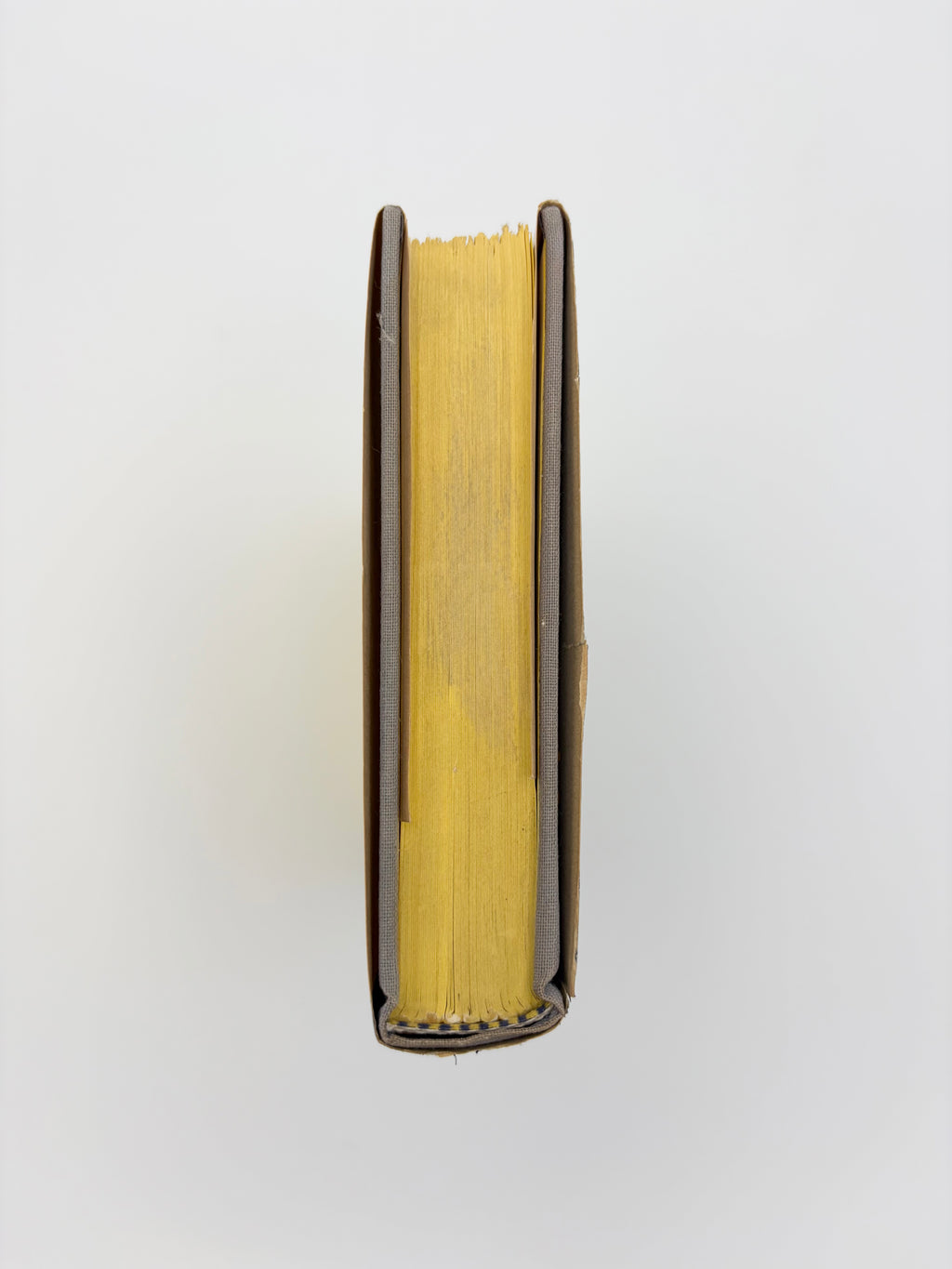 Youthful Writings (Cahiers II) by Albert Camus