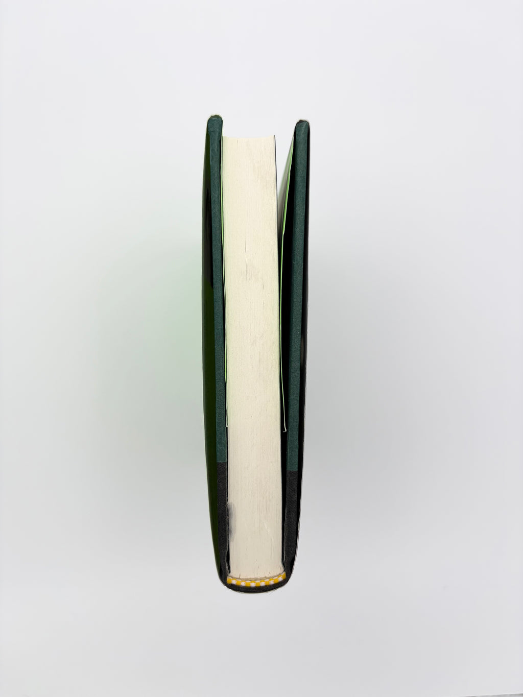 Last Evenings on Earth by Roberto Bolaño