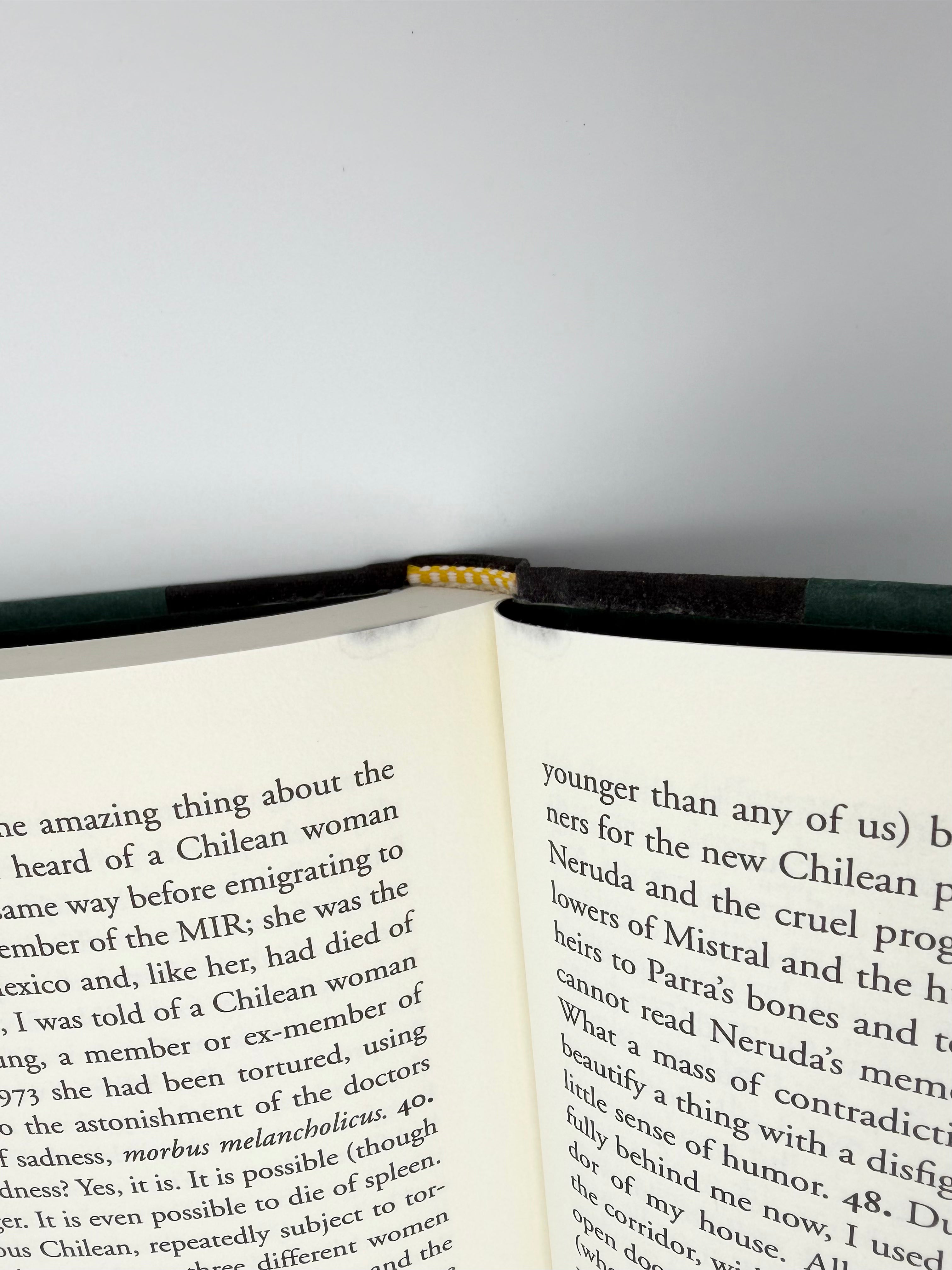 Last Evenings on Earth by Roberto Bolaño