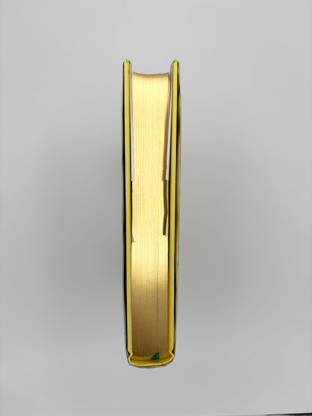 The Wonderful Wizard of Oz by L. Frank Baum