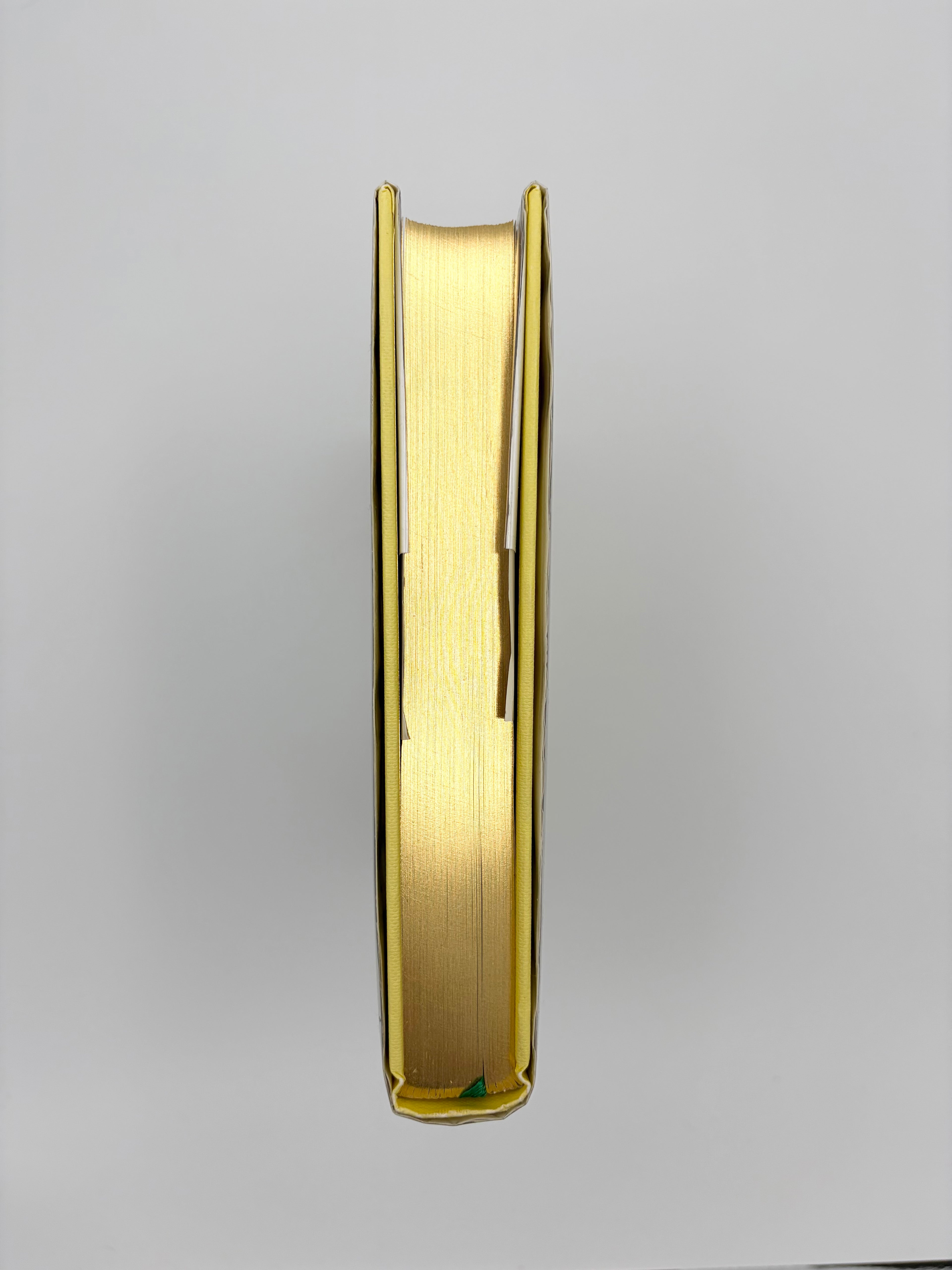 The Wonderful Wizard of Oz by L. Frank Baum