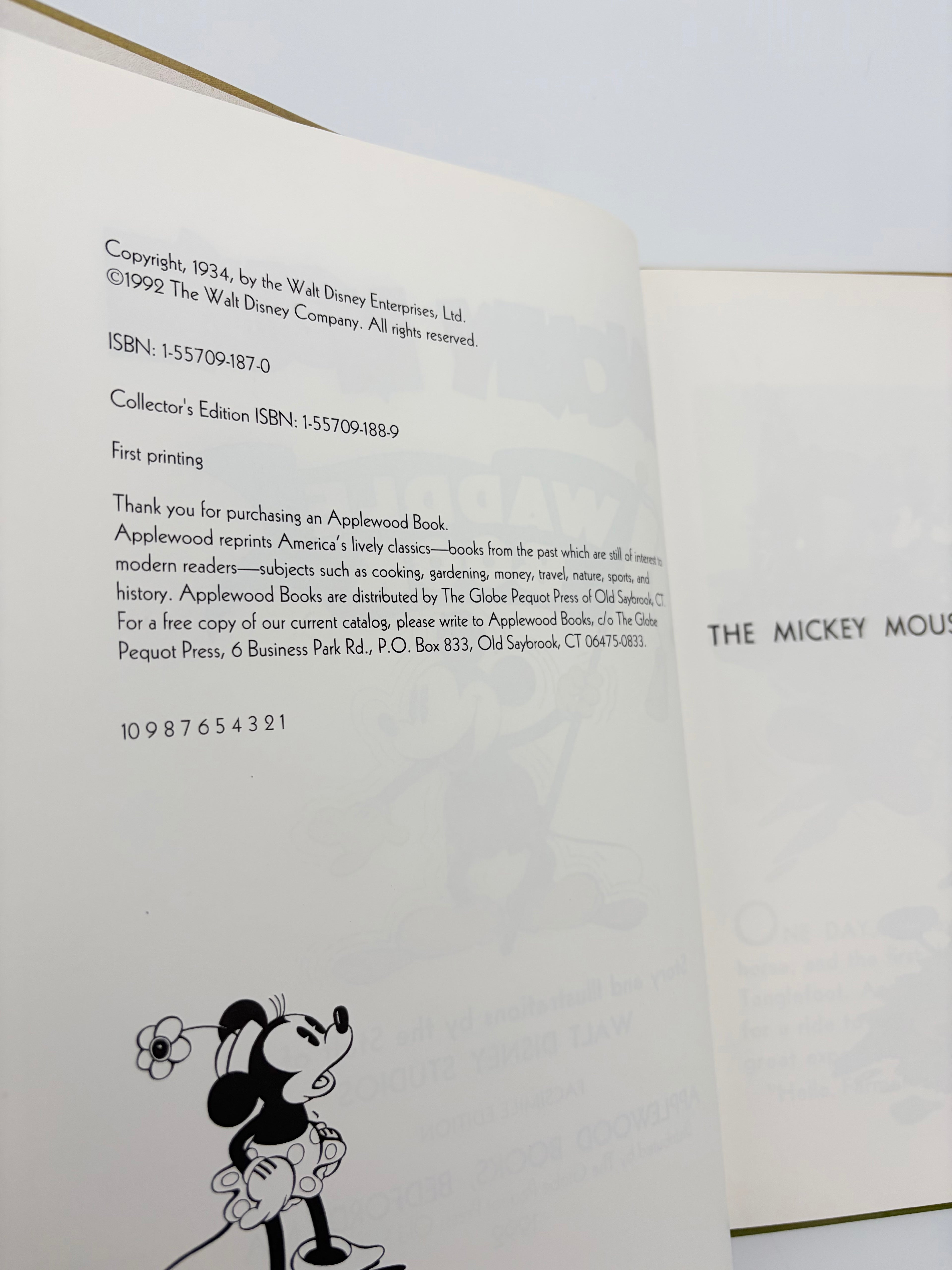 Mickey Mouse Waddle Book