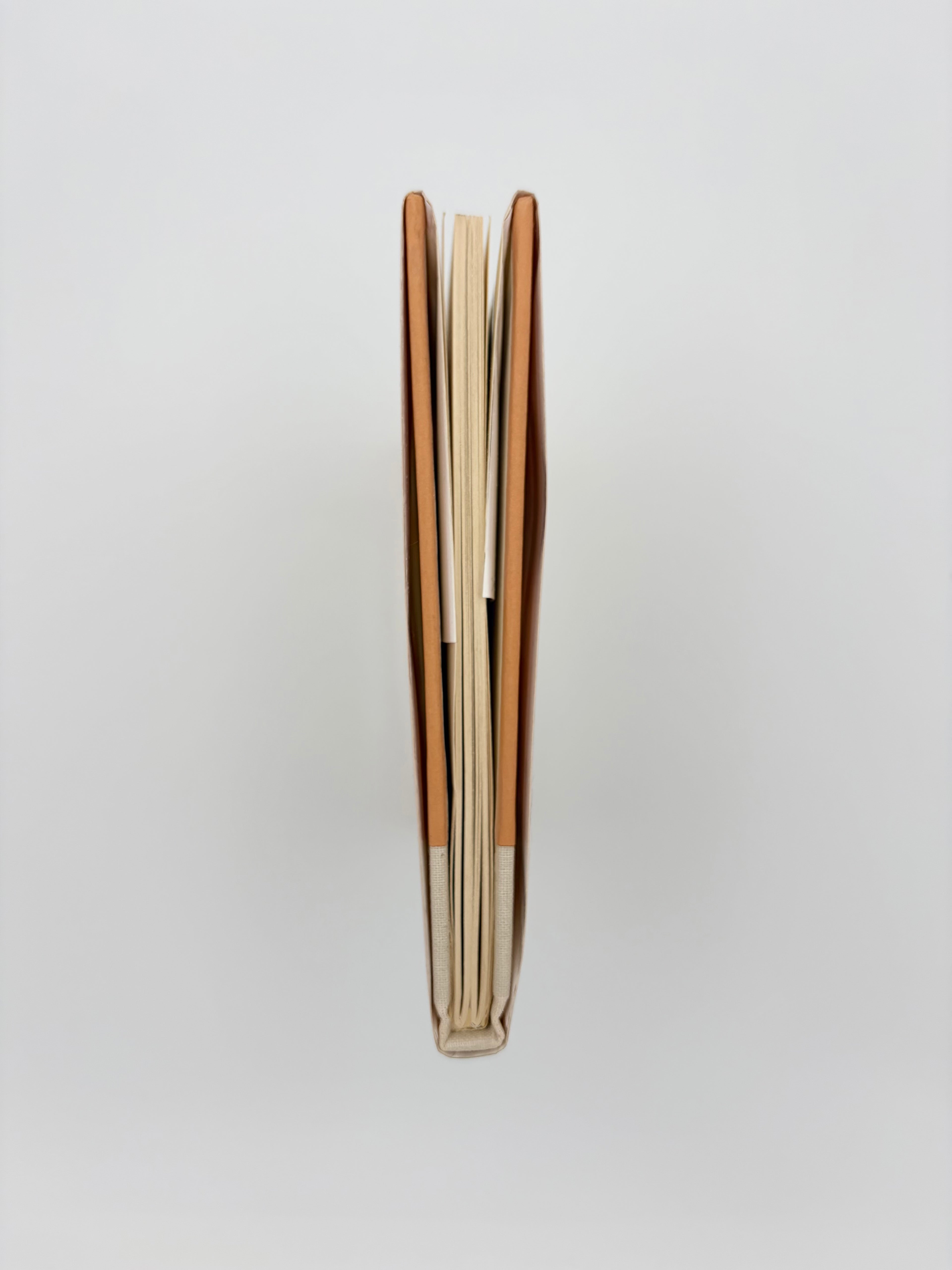 Old Possum's Book of Practical Cats by T.S. Eliot with Drawings by Edward Gorey