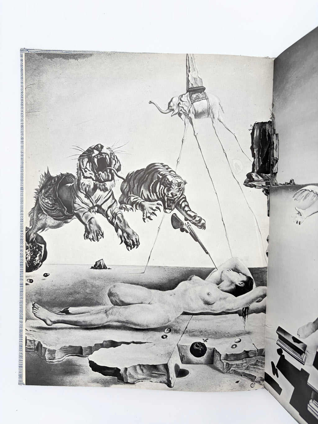 Salvador Dalí - Text by Robert Descharnes