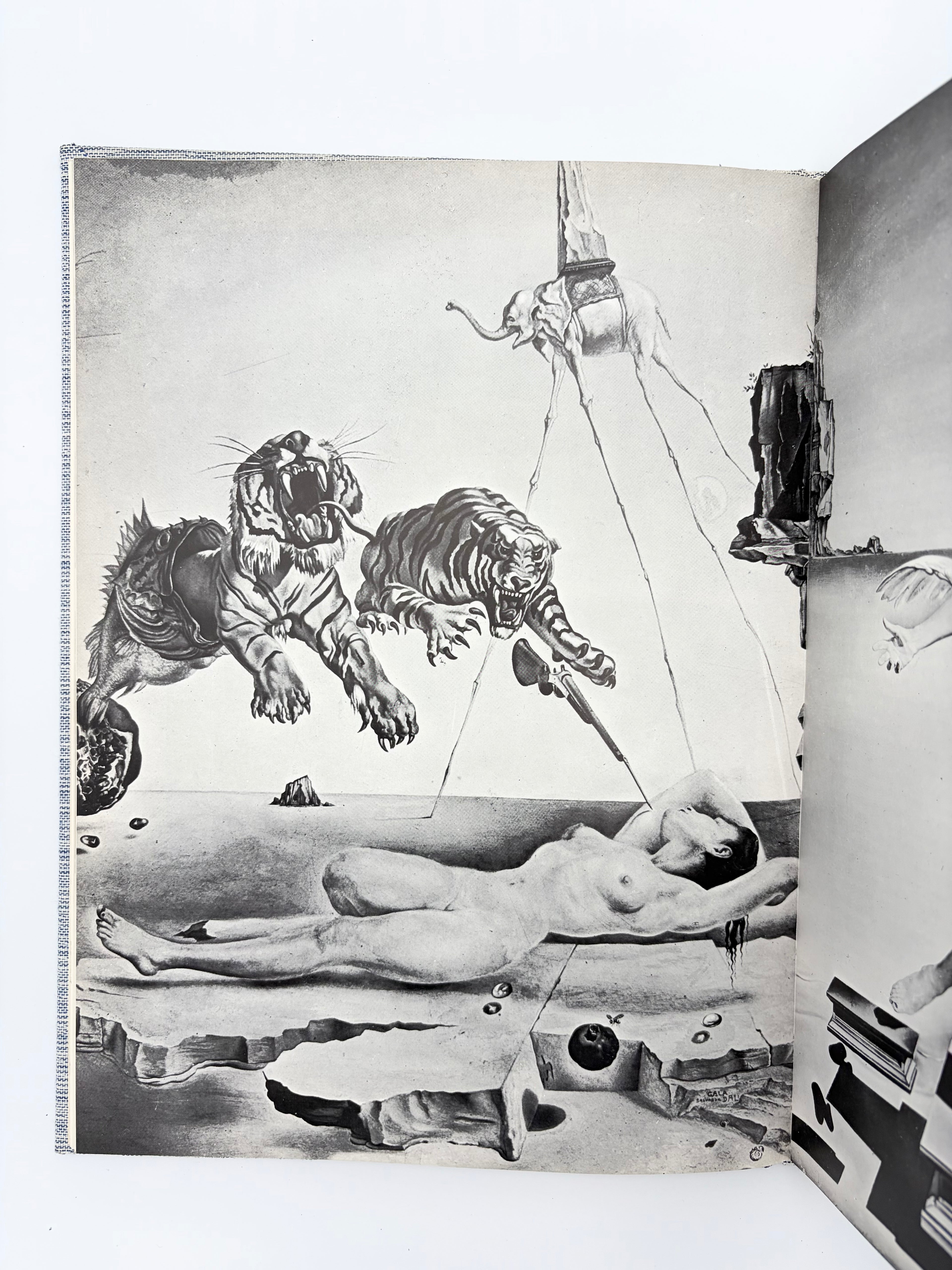 Salvador Dalí - Text by Robert Descharnes