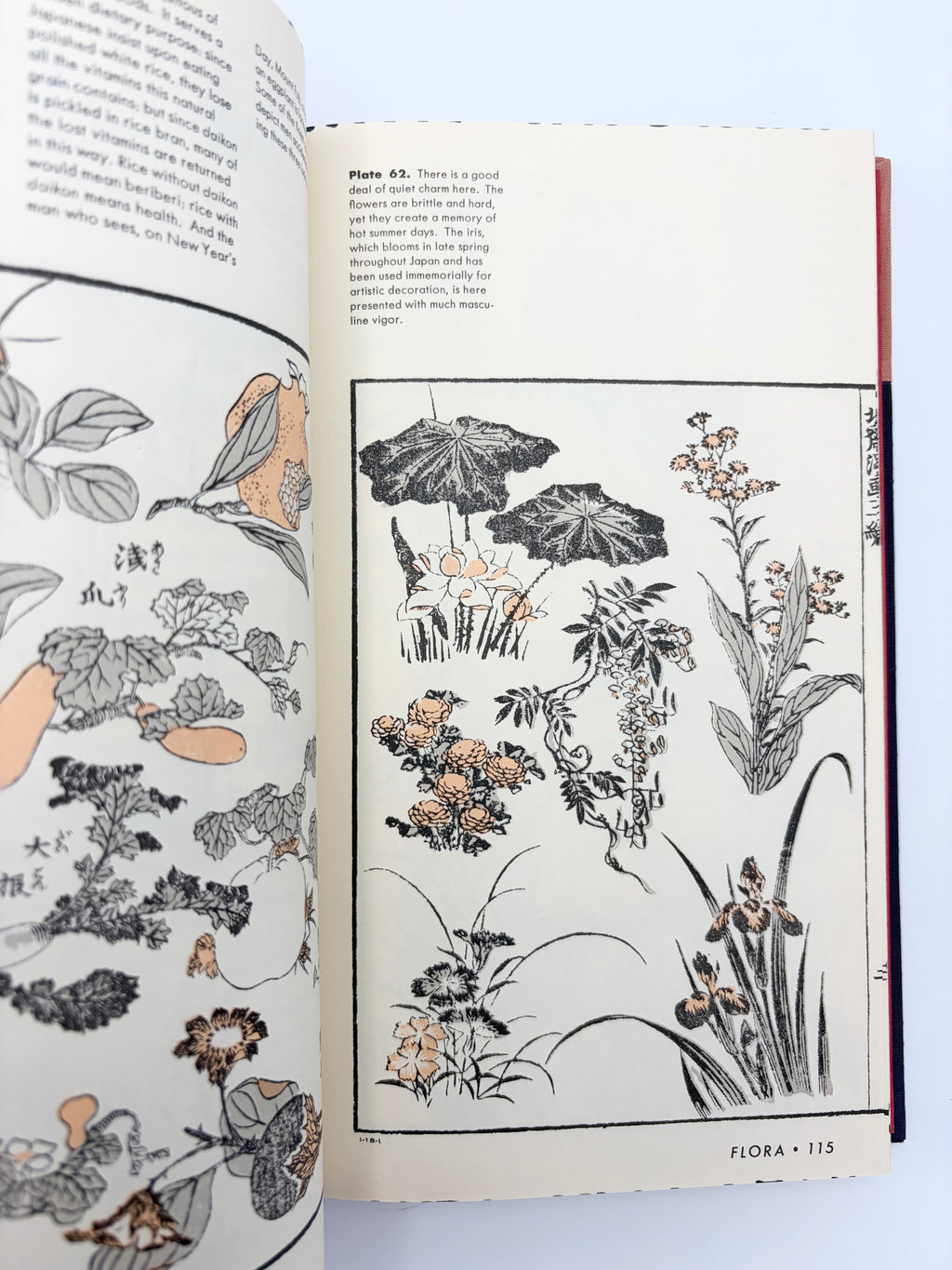 The Hokusai Sketchbooks - Selections from the Manga by James A. Michener
