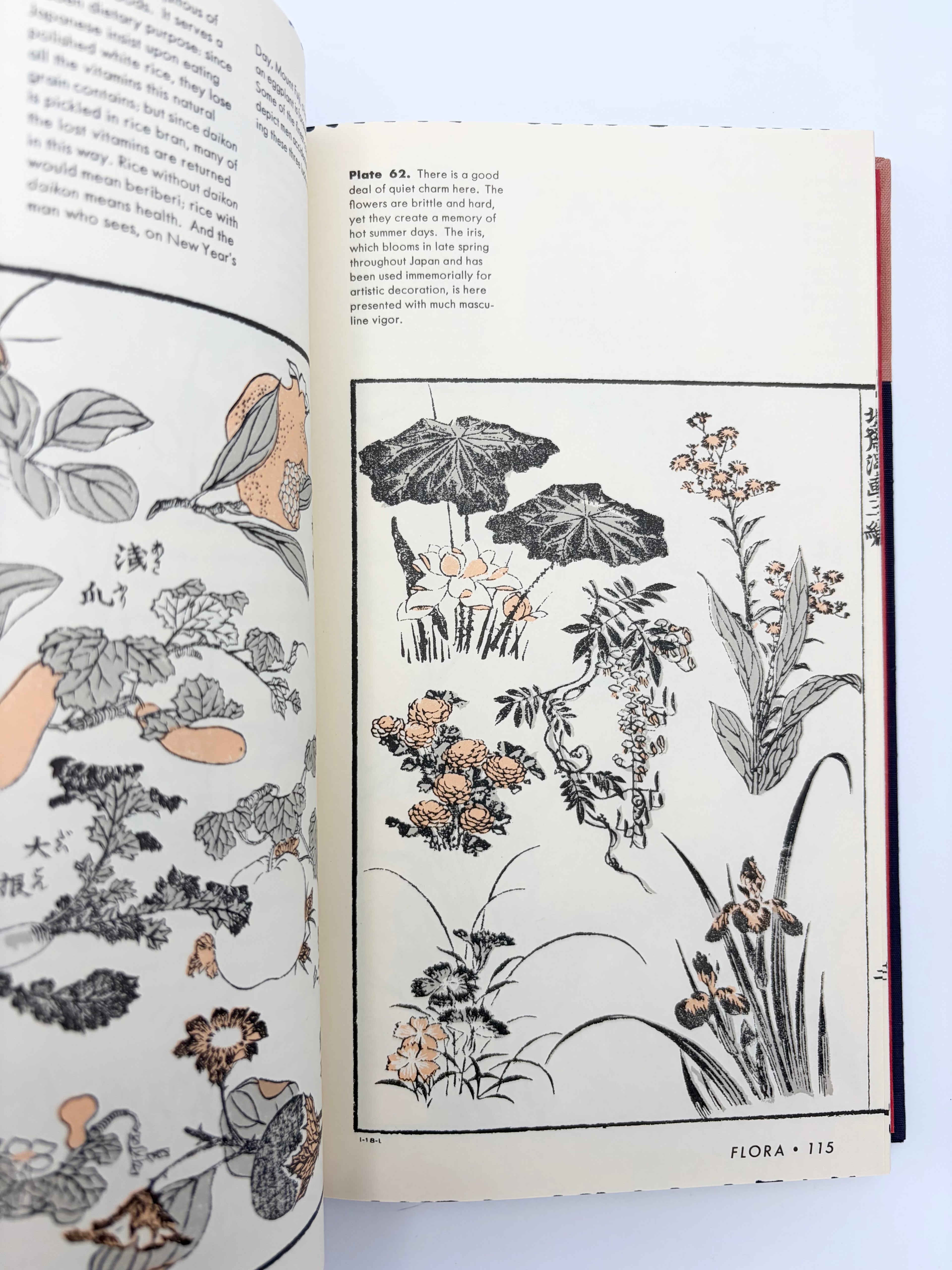 The Hokusai Sketchbooks - Selections from the Manga by James A. Michener