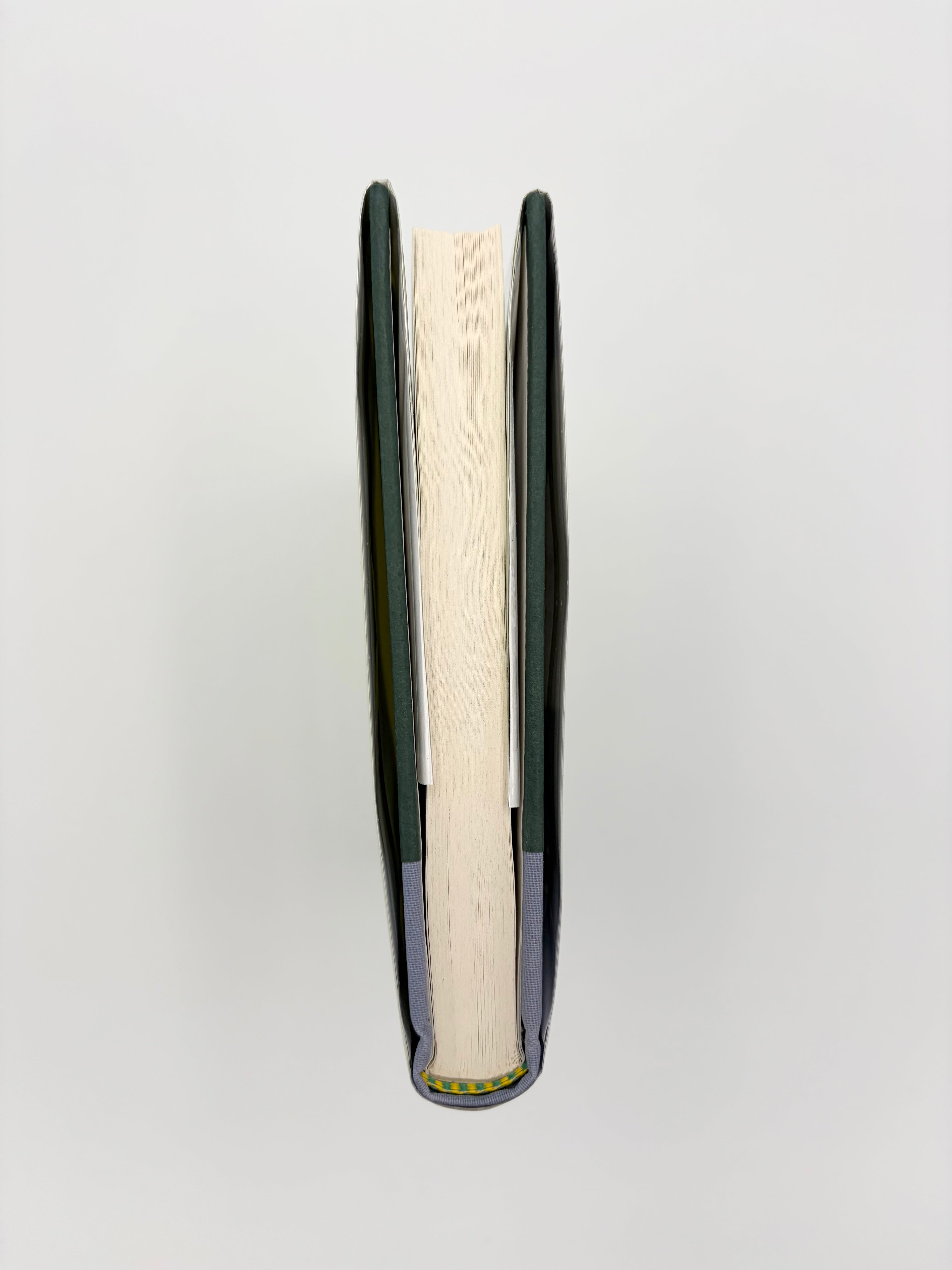 The Skating Rink by Roberto Bolaño