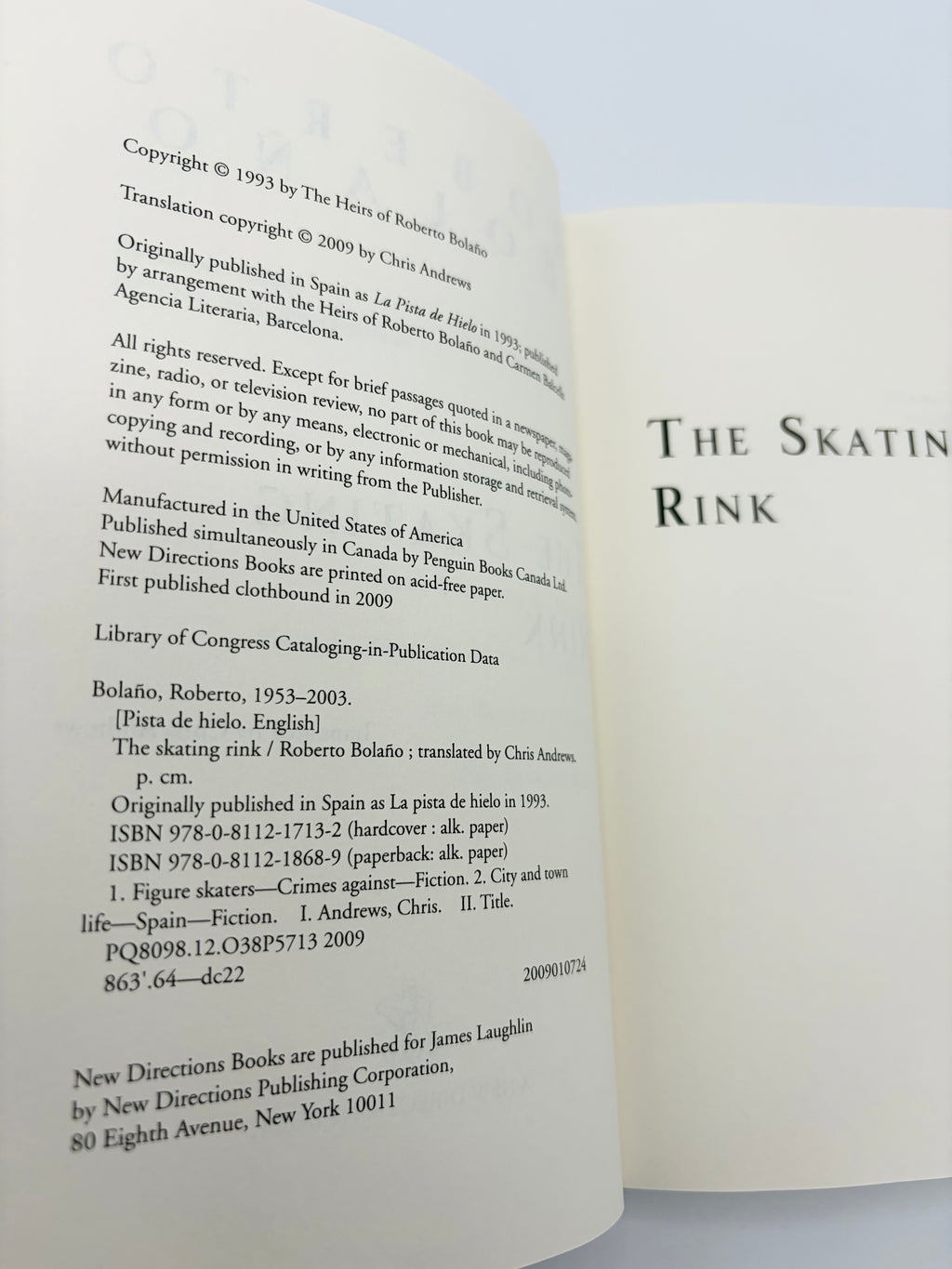 The Skating Rink by Roberto Bolaño