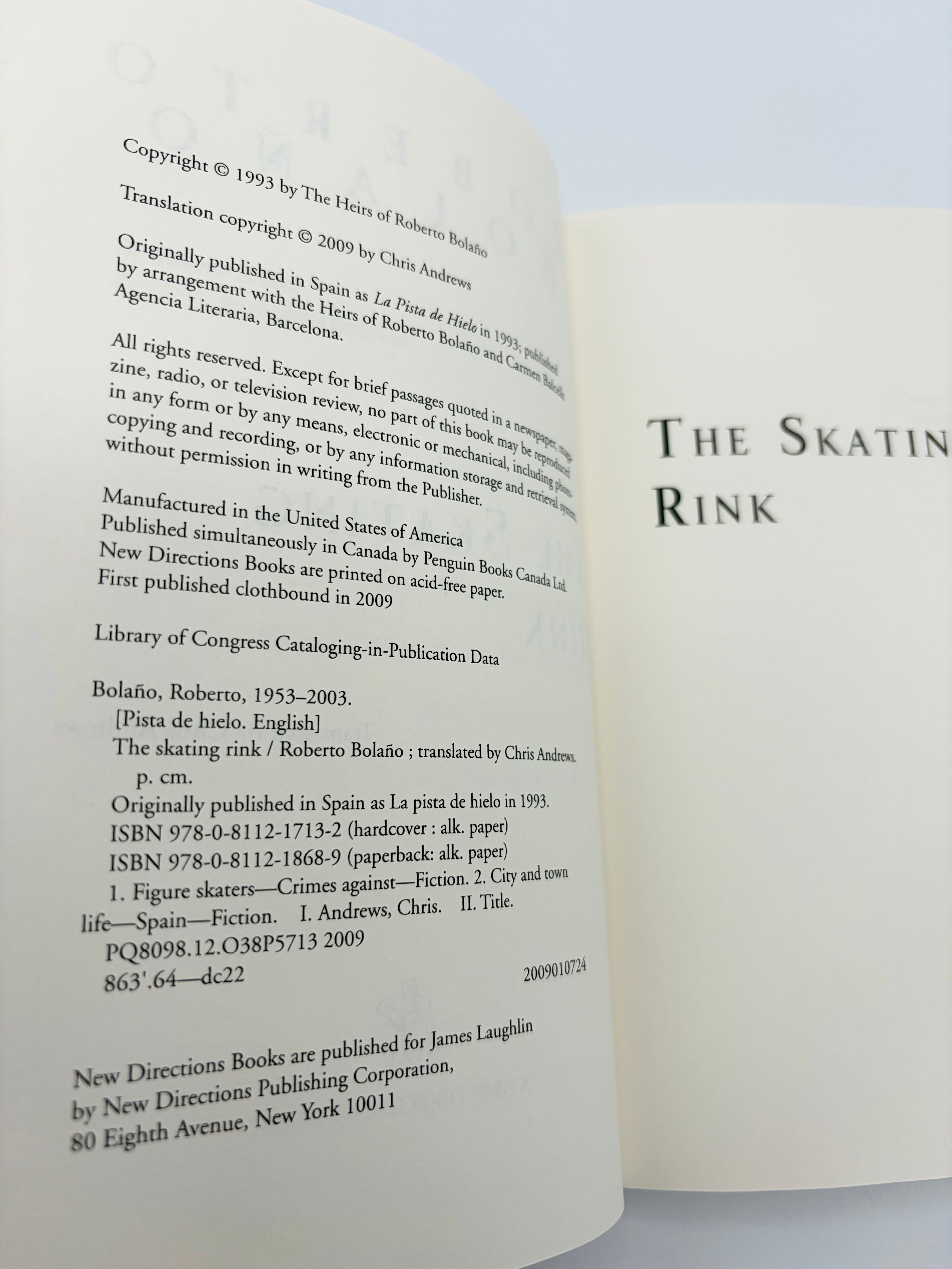 The Skating Rink by Roberto Bolaño