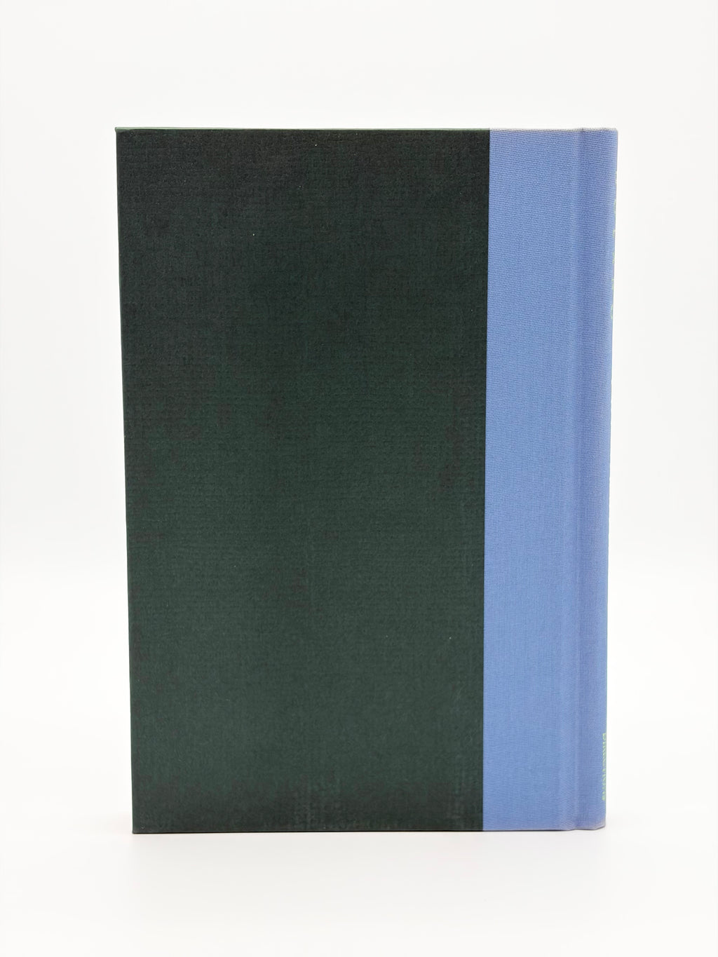 The Skating Rink by Roberto Bolaño
