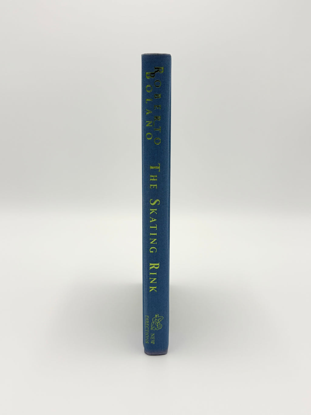 The Skating Rink by Roberto Bolaño