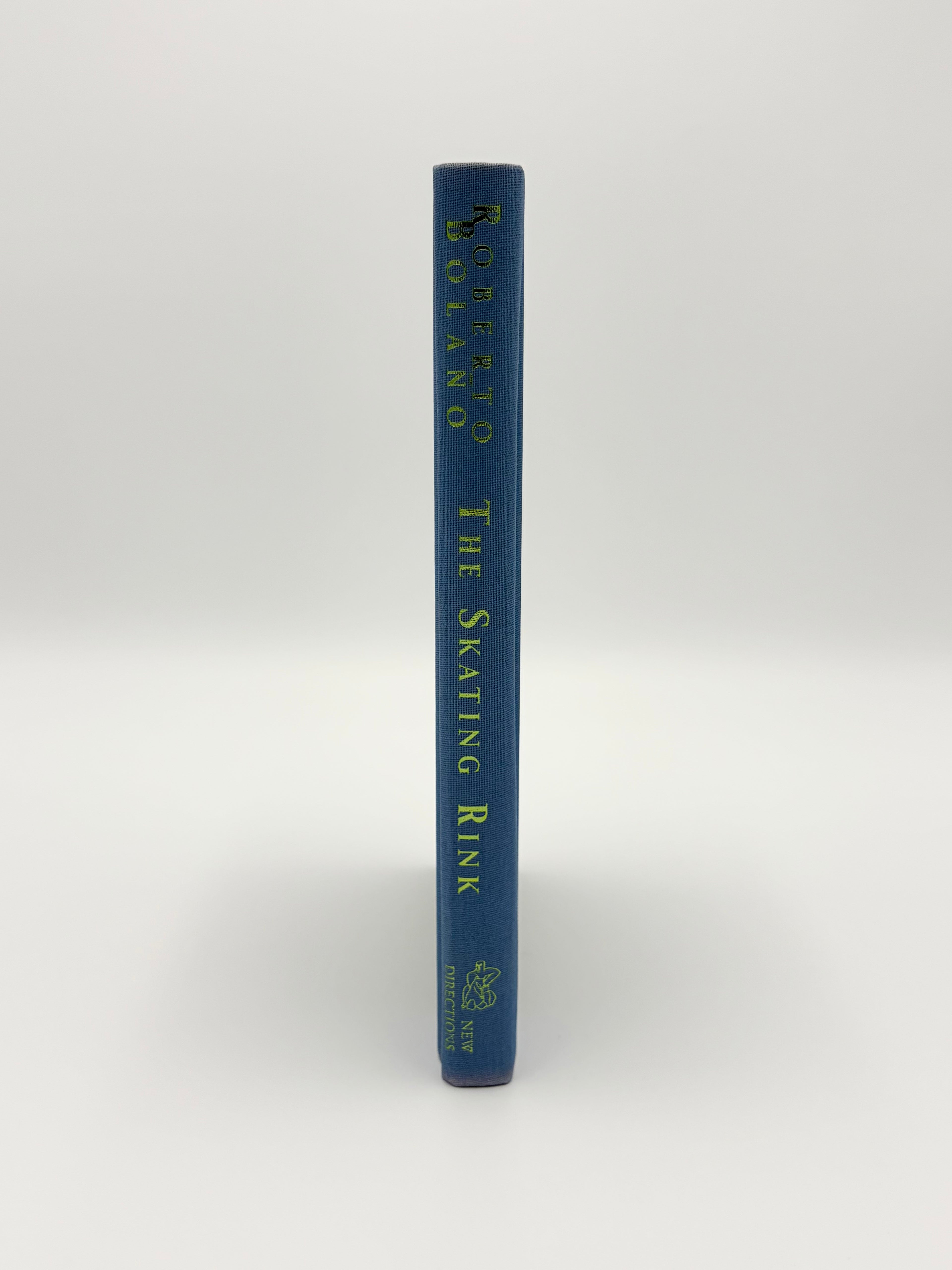 The Skating Rink by Roberto Bolaño