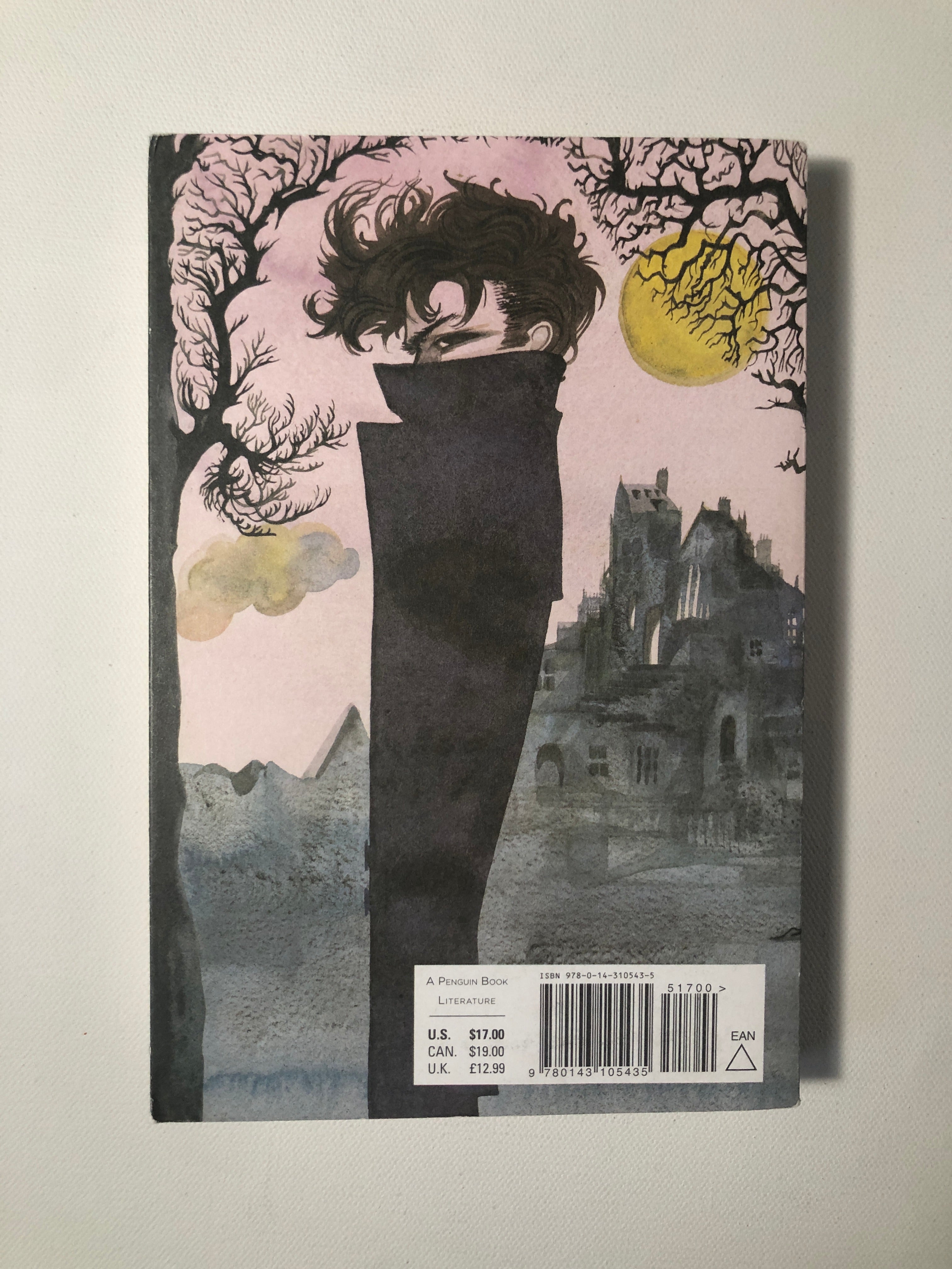 Wuthering Heights by Emily Bronte