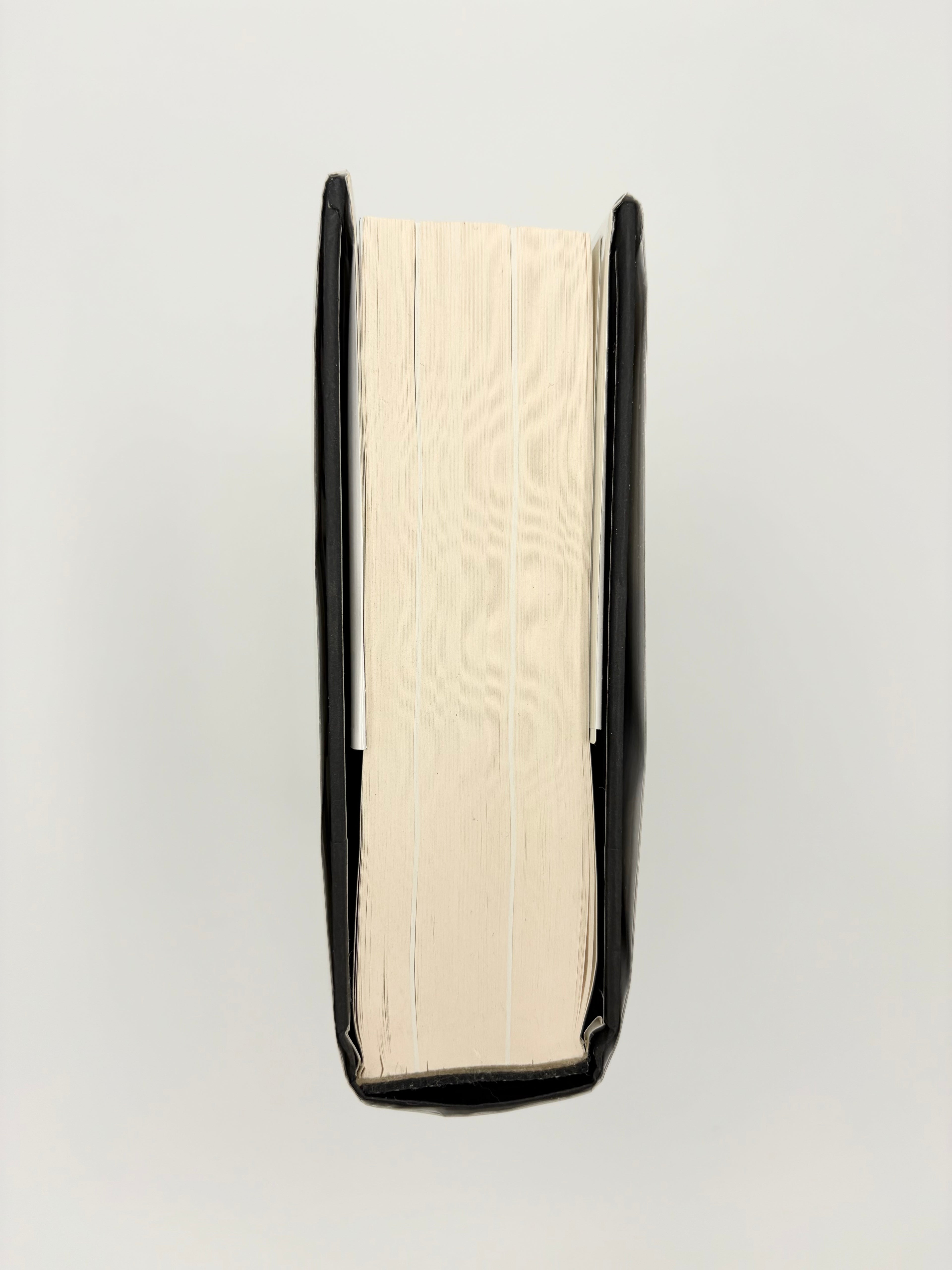 Sontag - Her Life and Work by Benjamin Moser