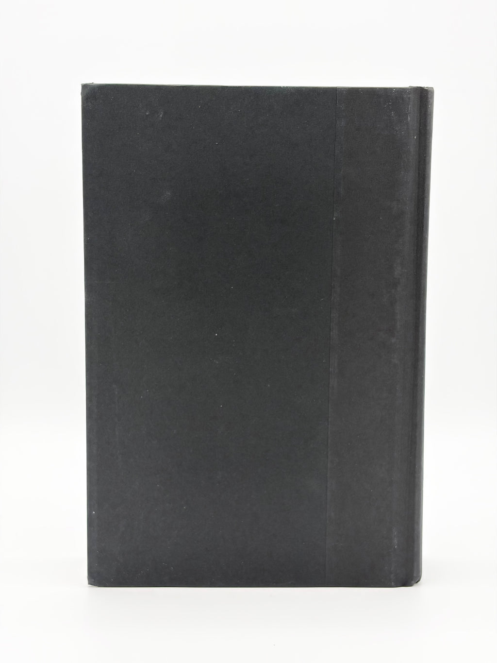 Sontag - Her Life and Work by Benjamin Moser