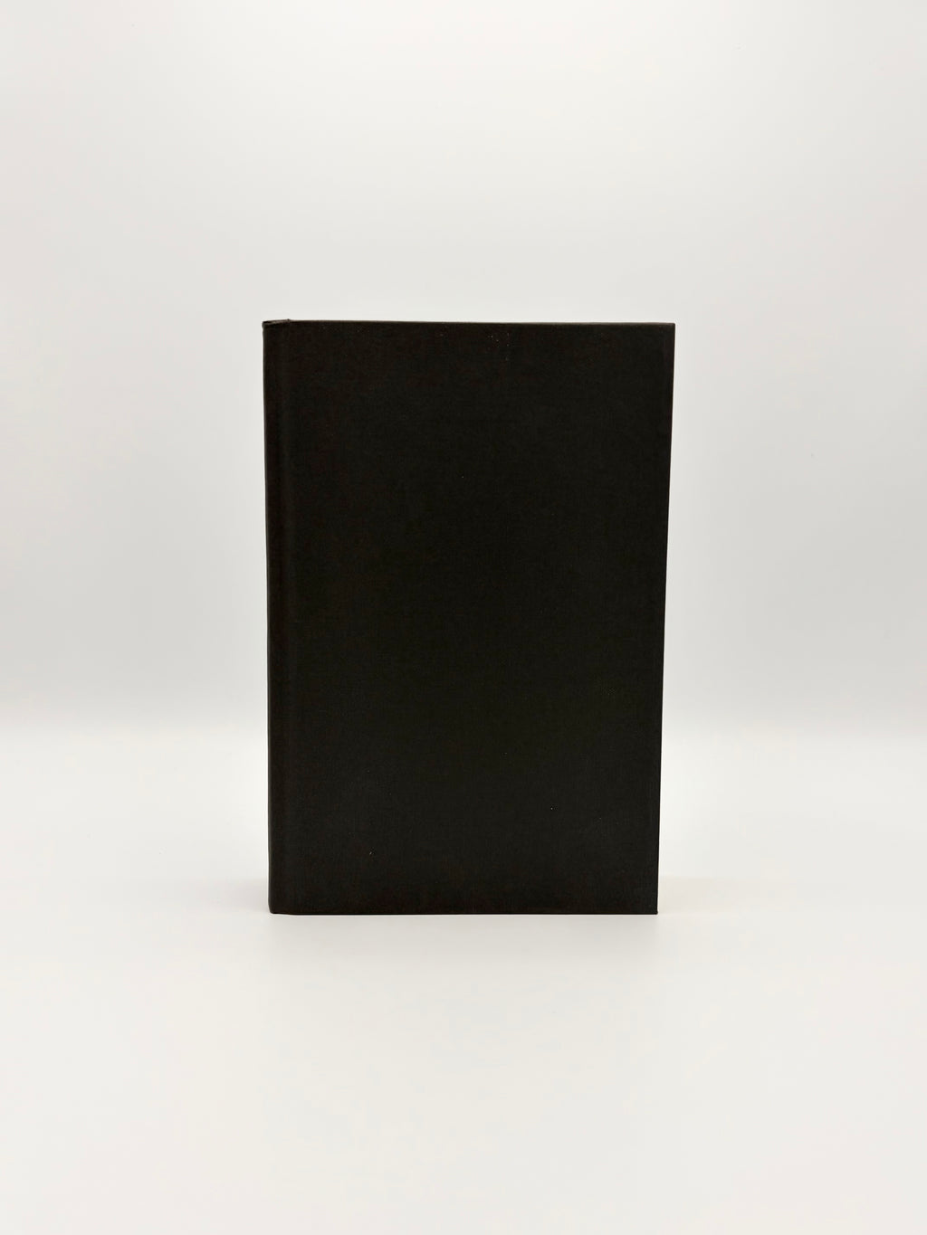2666 by Roberto Bolaño