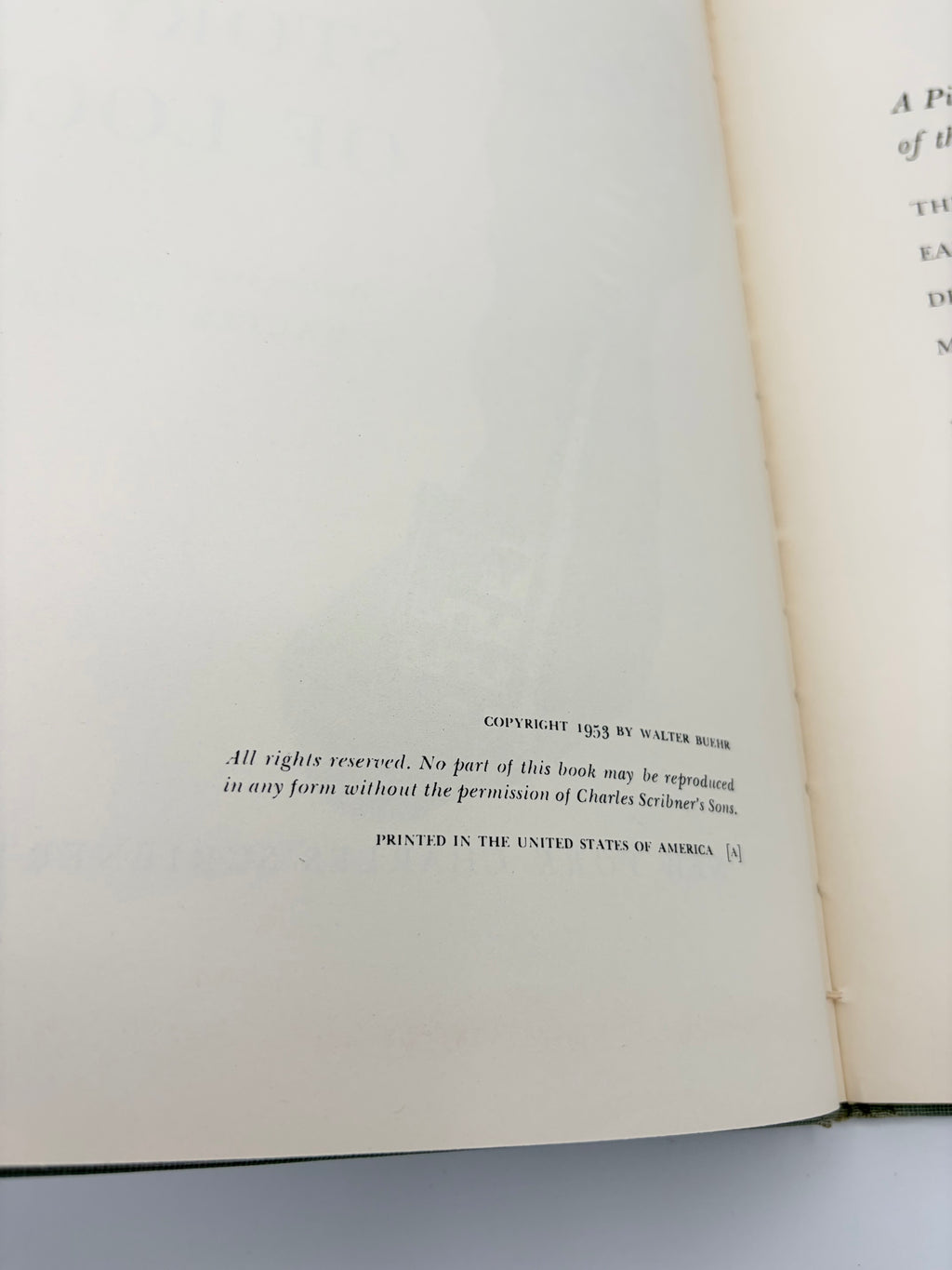 The Story of Locks written and illustrated by Walter Buehr