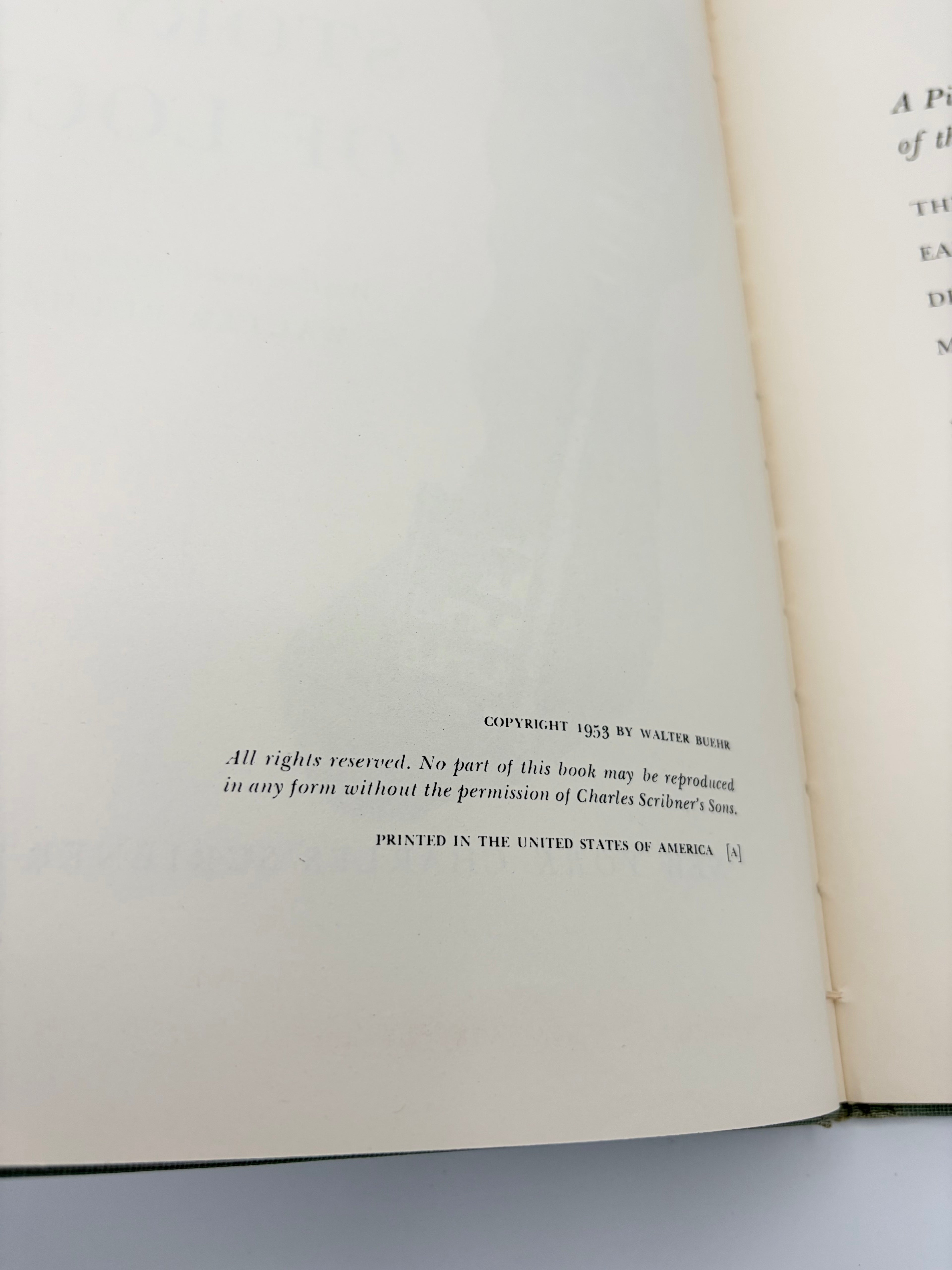The Story of Locks written and illustrated by Walter Buehr