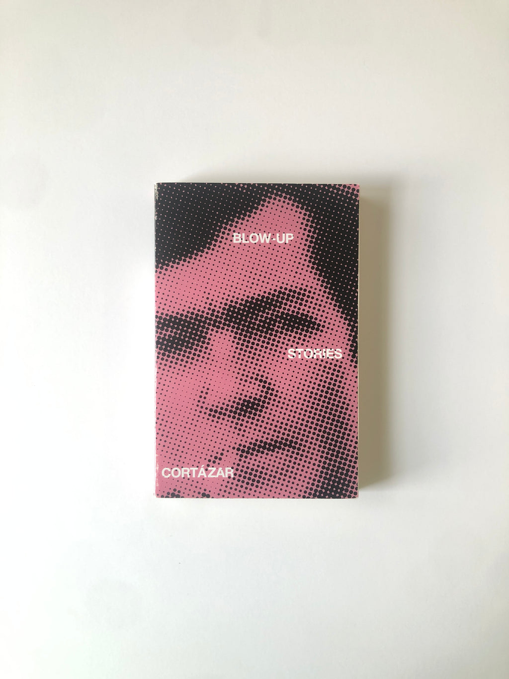 Blow-Up - Stories by Julio Cortázar