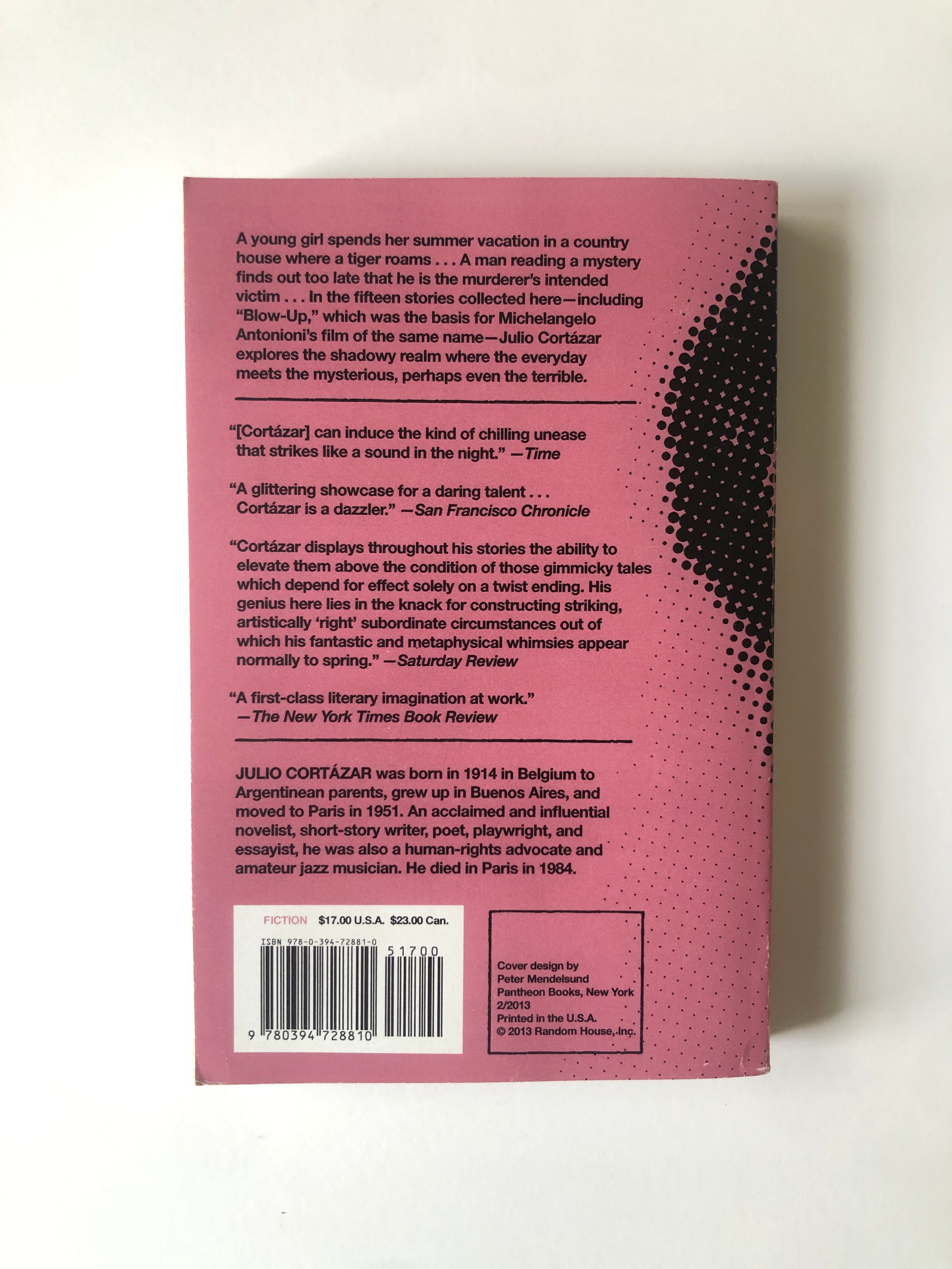 Blow-Up - Stories by Julio Cortázar