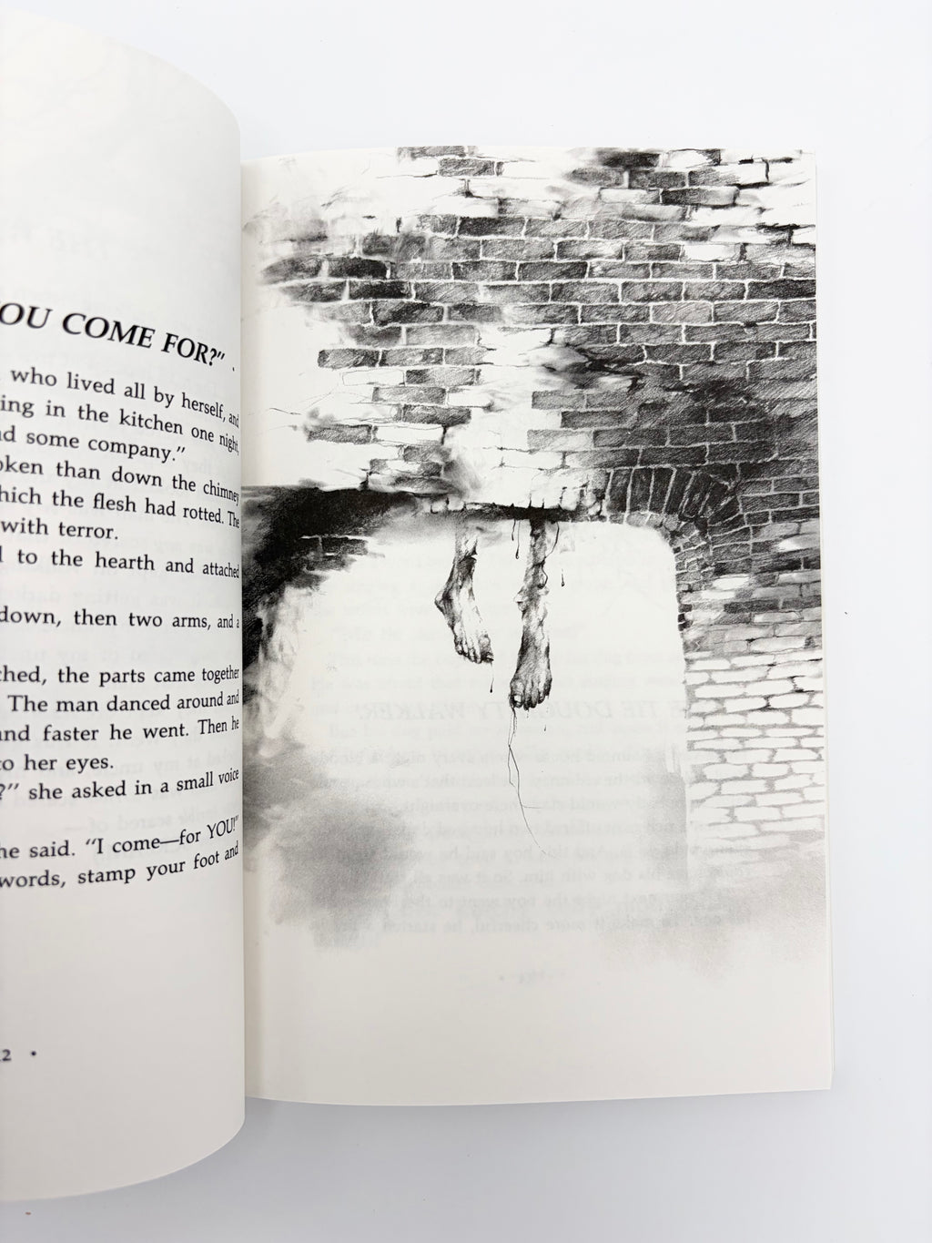 Scary Stories to Tell in the Dark by Alvin Schwartz with nightmare fuel by Stephen Gammell