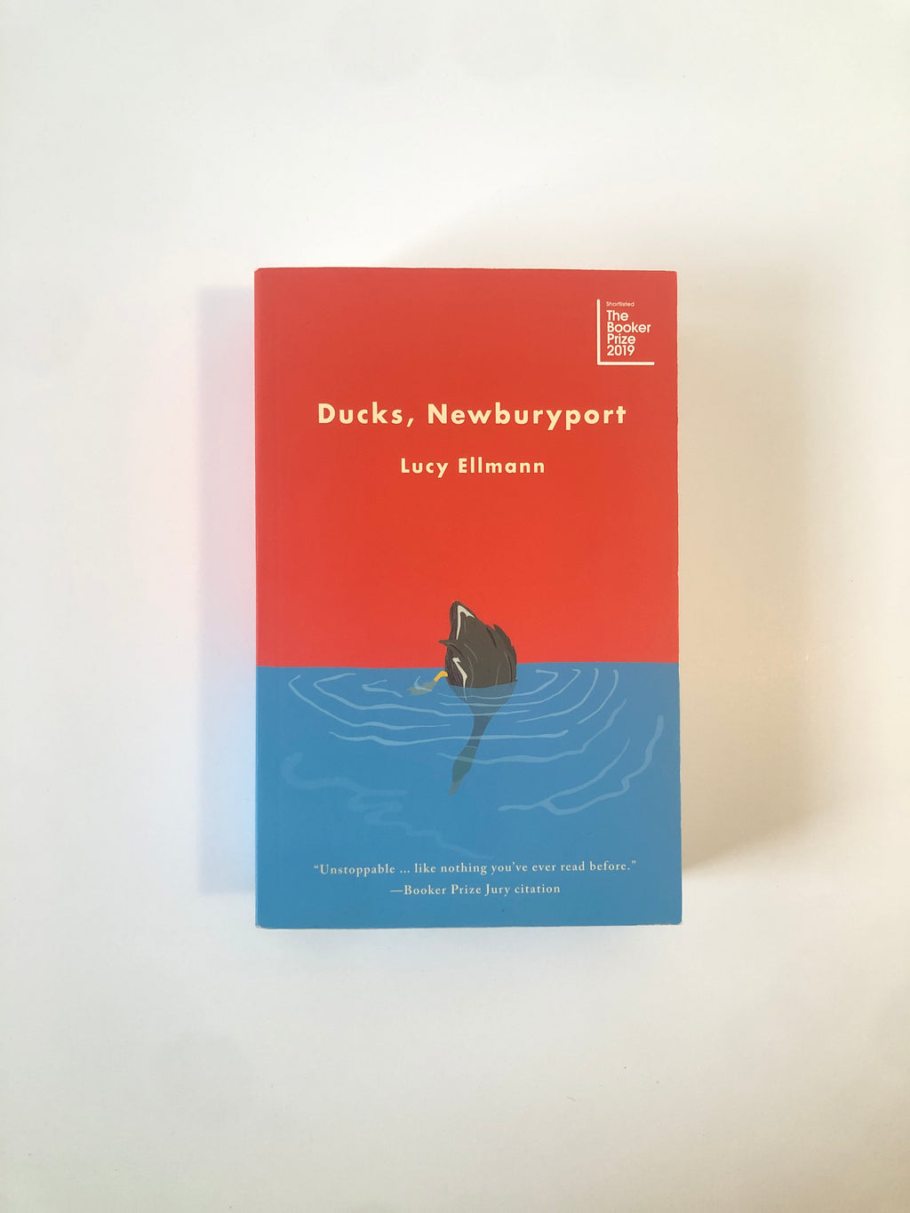 Ducks, Newburyport by Lucy Ellmann